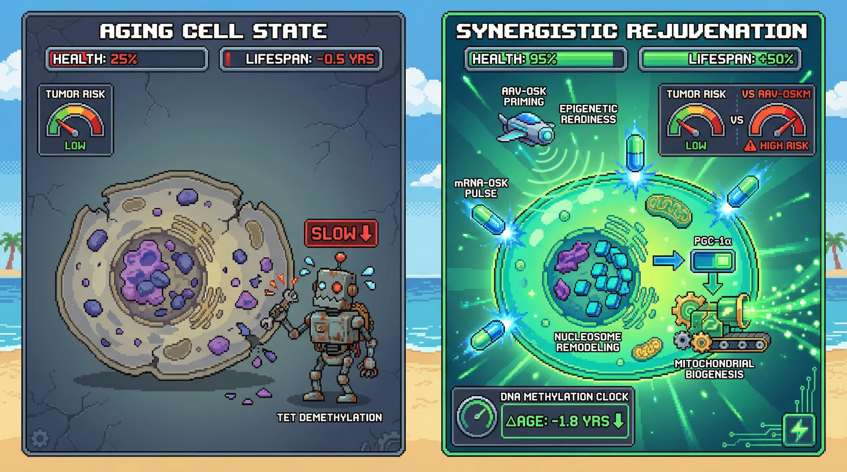 Infographic for: Synergistic low-dose AAV‑OSK priming with intermittent mRNA‑OSK pulses enhances epigenetic rejuvenation while minimizing tumorigenic risk