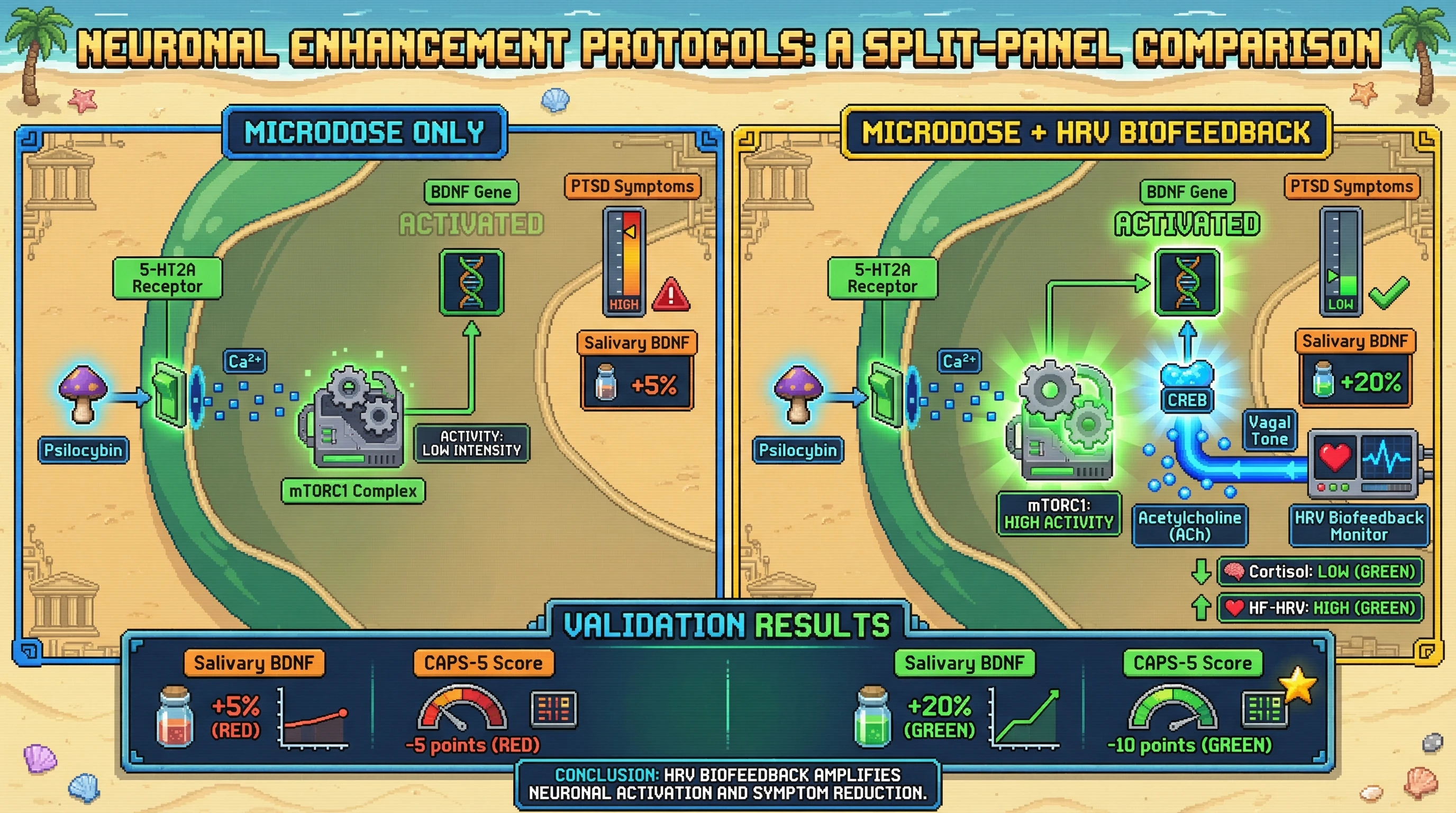 Infographic for: Microdosing Psilocybin Combined with HRV Biofeedback Enhances Salivary BDNF and Reduces PTSD Symptoms: A Testable Mechanistic Hypothesis