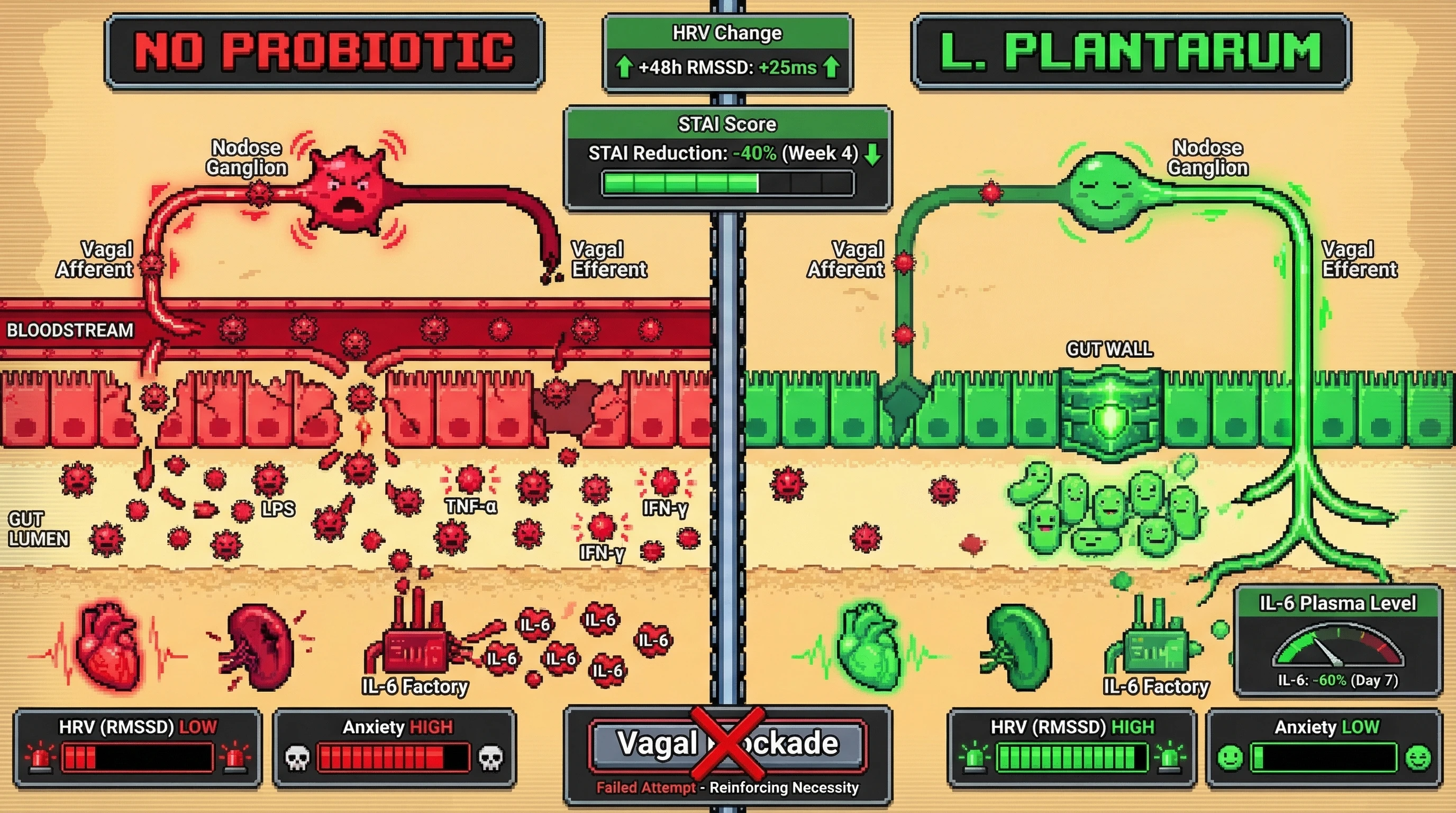 Infographic for: Strain‑Specific Vagal Tuning: Predicting Probiotic‑Induced Anxiety Relief via Heart‑Rate Variability and IL‑6 Dynamics