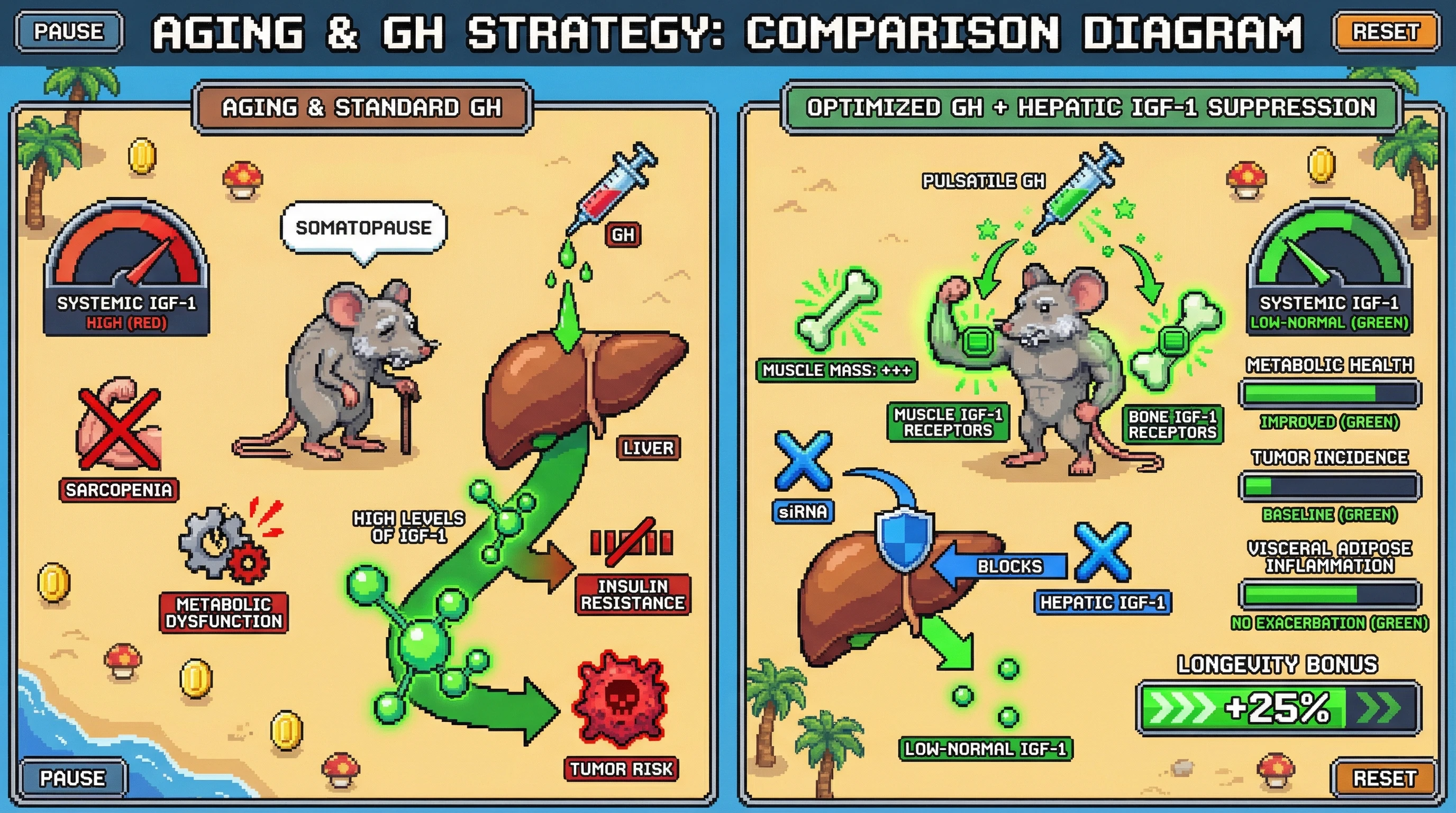 Infographic for: Targeted Hepatic IGF-1 Suppression Combined with Pulsatile GH Administration Uncouples Anabolic Benefits from Metabolic Harm in Aging