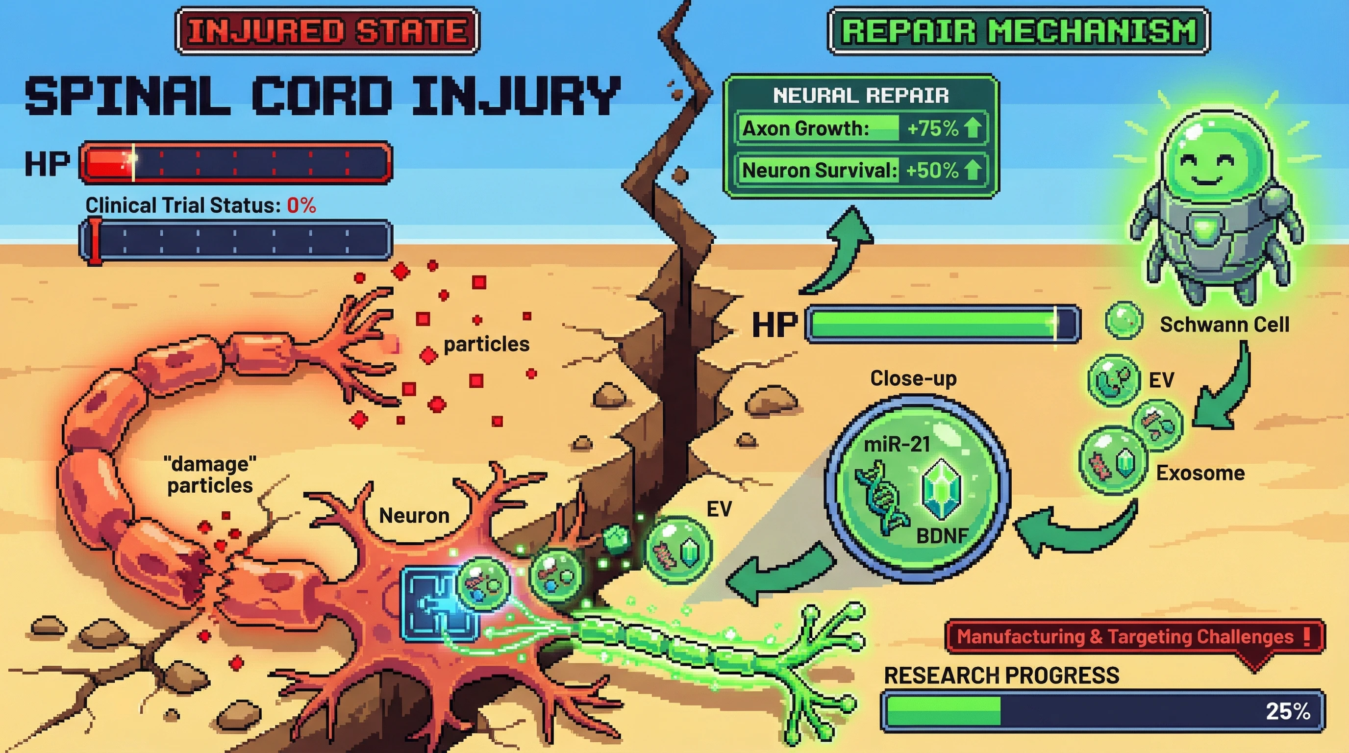 Infographic for: Exosomes are the cell-to-cell messengers driving neural repair after injury—here's what we know and what still needs to crack before they reach clinics