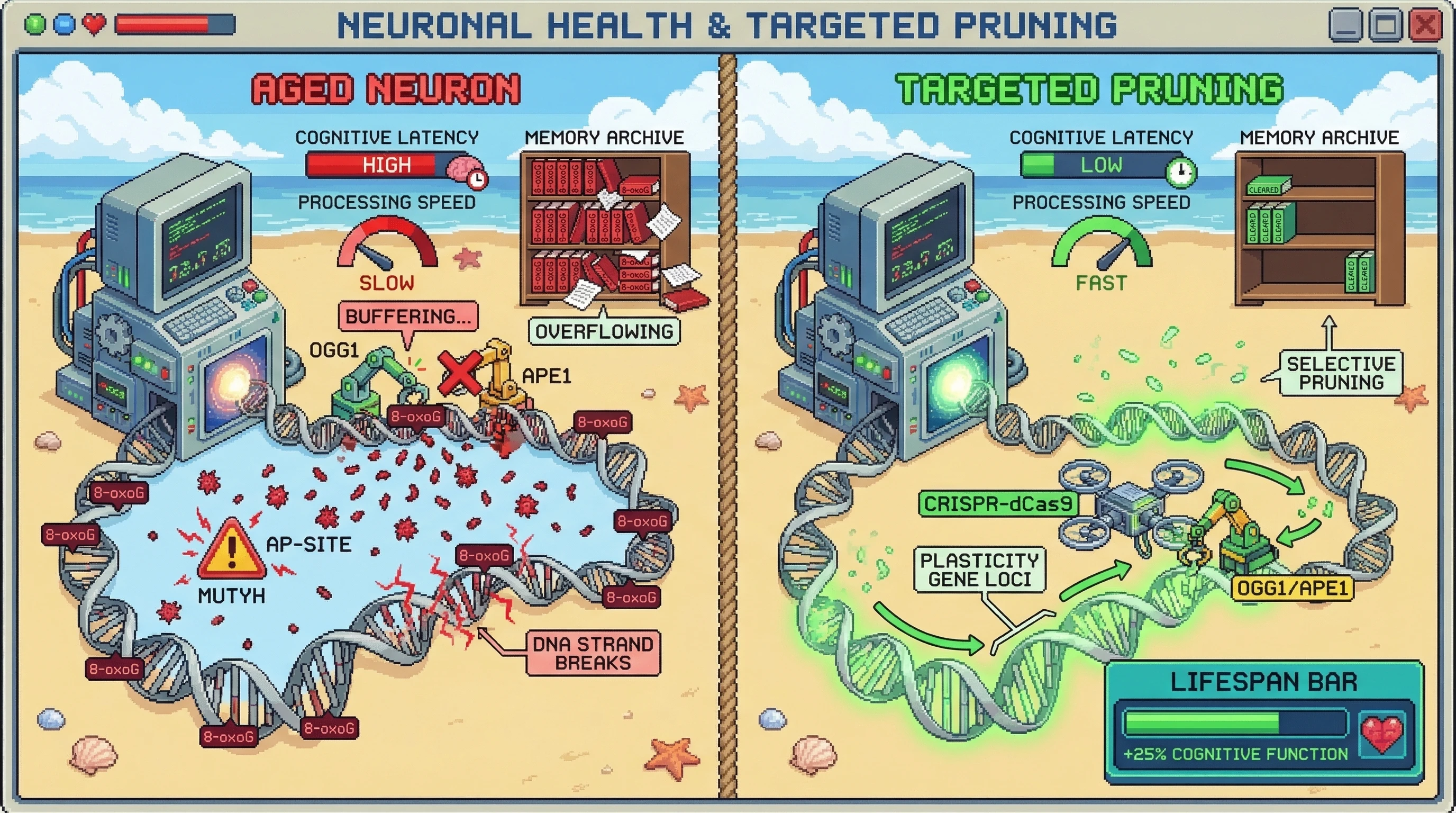 Infographic for: The Oxidative Index Hypothesis: 8-oxoG as a Cumulative 'Transcriptional Log' that Drives Cognitive Latency via BER Bottlenecks