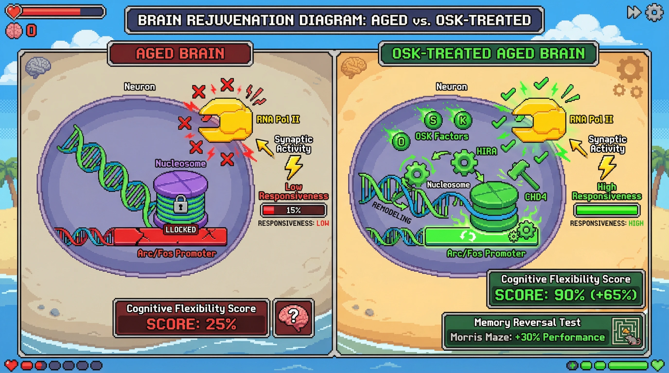 Infographic for: OSK-induced nucleosome remodeling at immediate-early gene promoters restores synaptic uncertainty signaling in aged brains