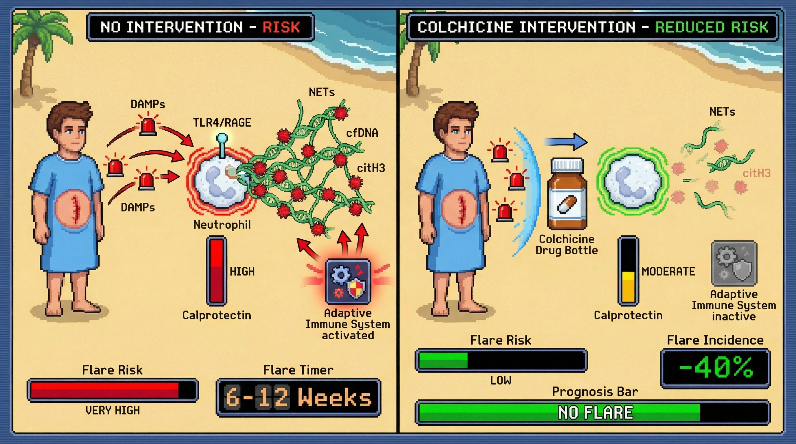 Mechanism: Surgical stress triggers DAMPs, activating neutrophils to release NETs and calprotectin, which exposes autoantigens and drives autoimmune flares. Readout: Readout: Colchicine prophylaxis significantly reduces NET formation and calprotectin levels, decreasing post-surgical autoimmune flare incidence by over 40%.