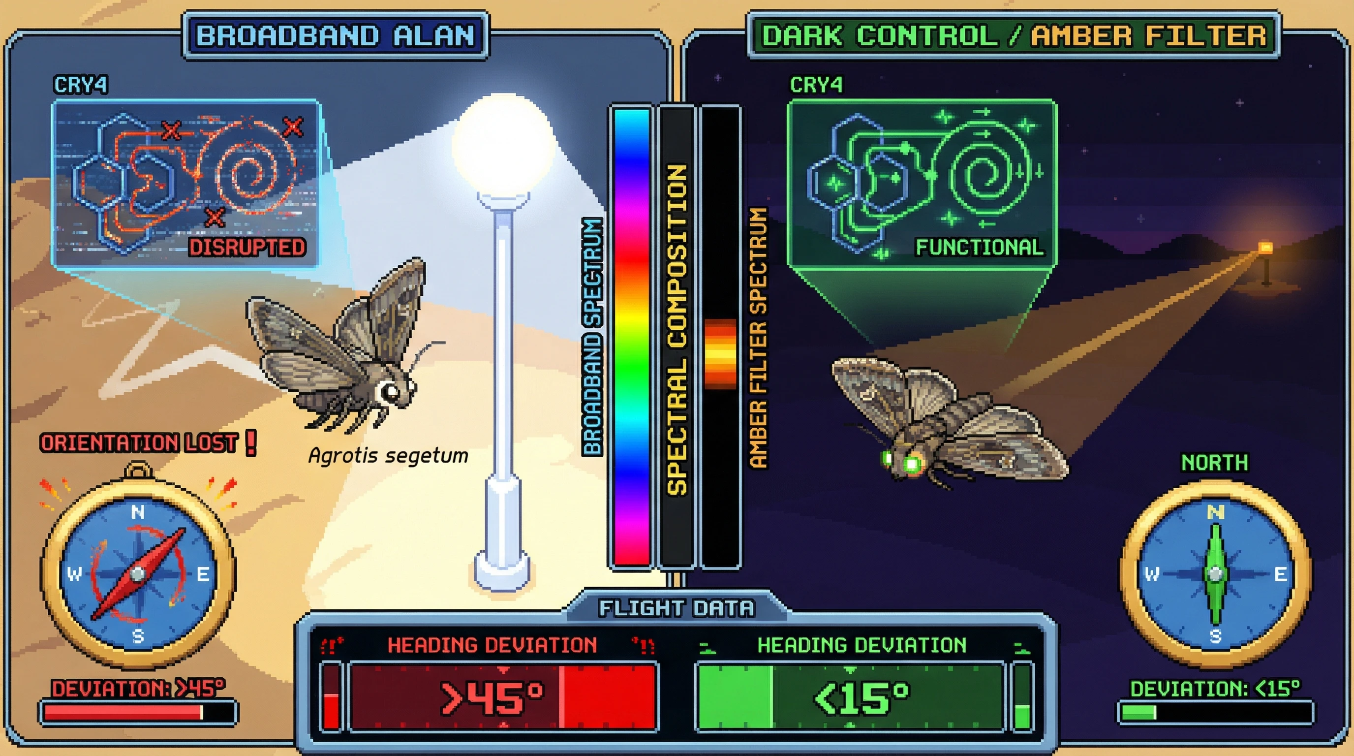 Infographic for: Broadband Artificial Light Disrupts Cryptochrome Magnetoreception in Nocturnal Moth Pollinators