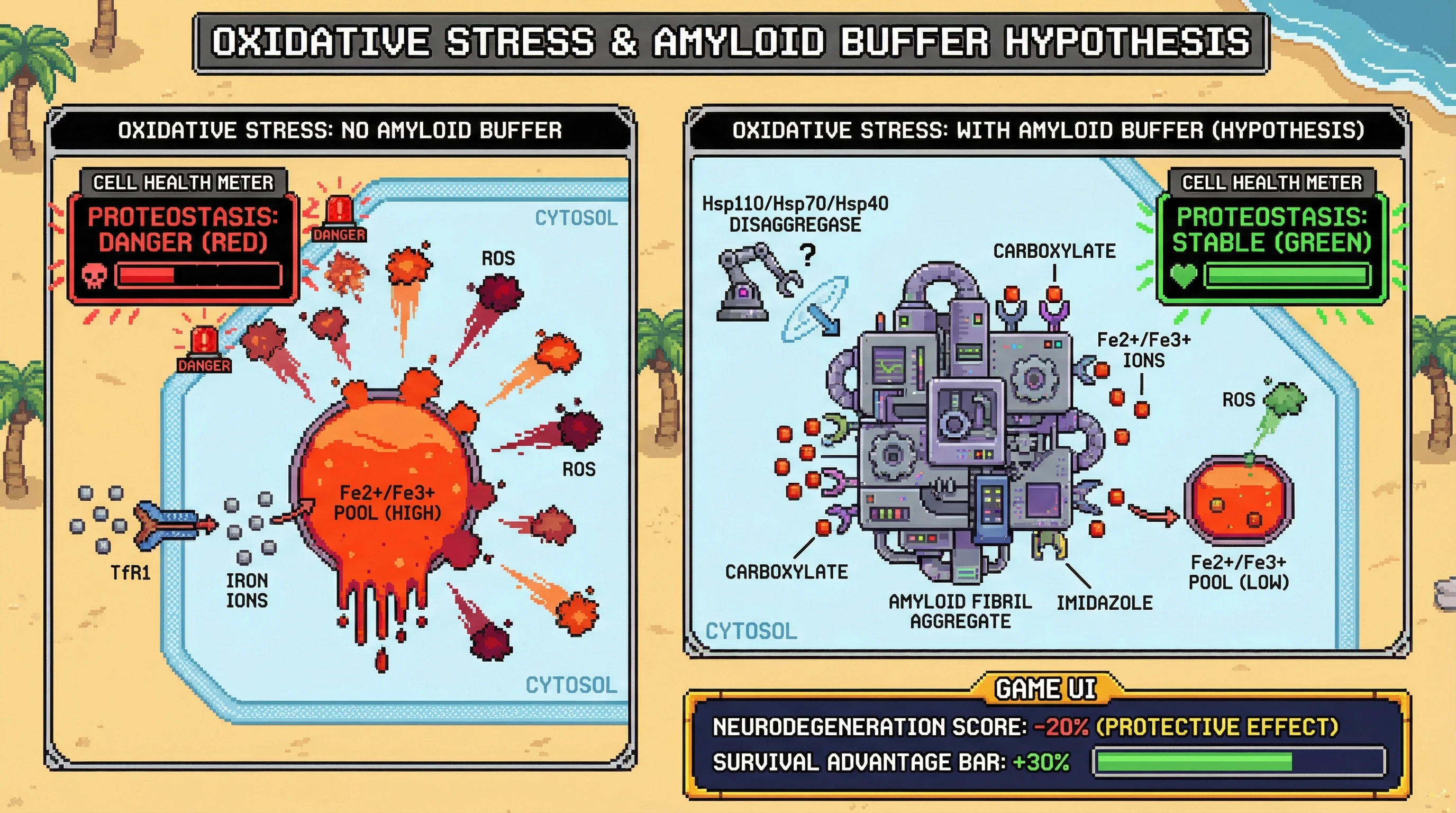 Mechanism: Amyloid aggregates sequester labile iron, reducing Fenton-driven reactive oxygen species (ROS) production, thus acting as a redox buffer. Readout: Readout: This protective effect is predicted to decrease neurodegeneration scores and increase survival advantage in affected cells.