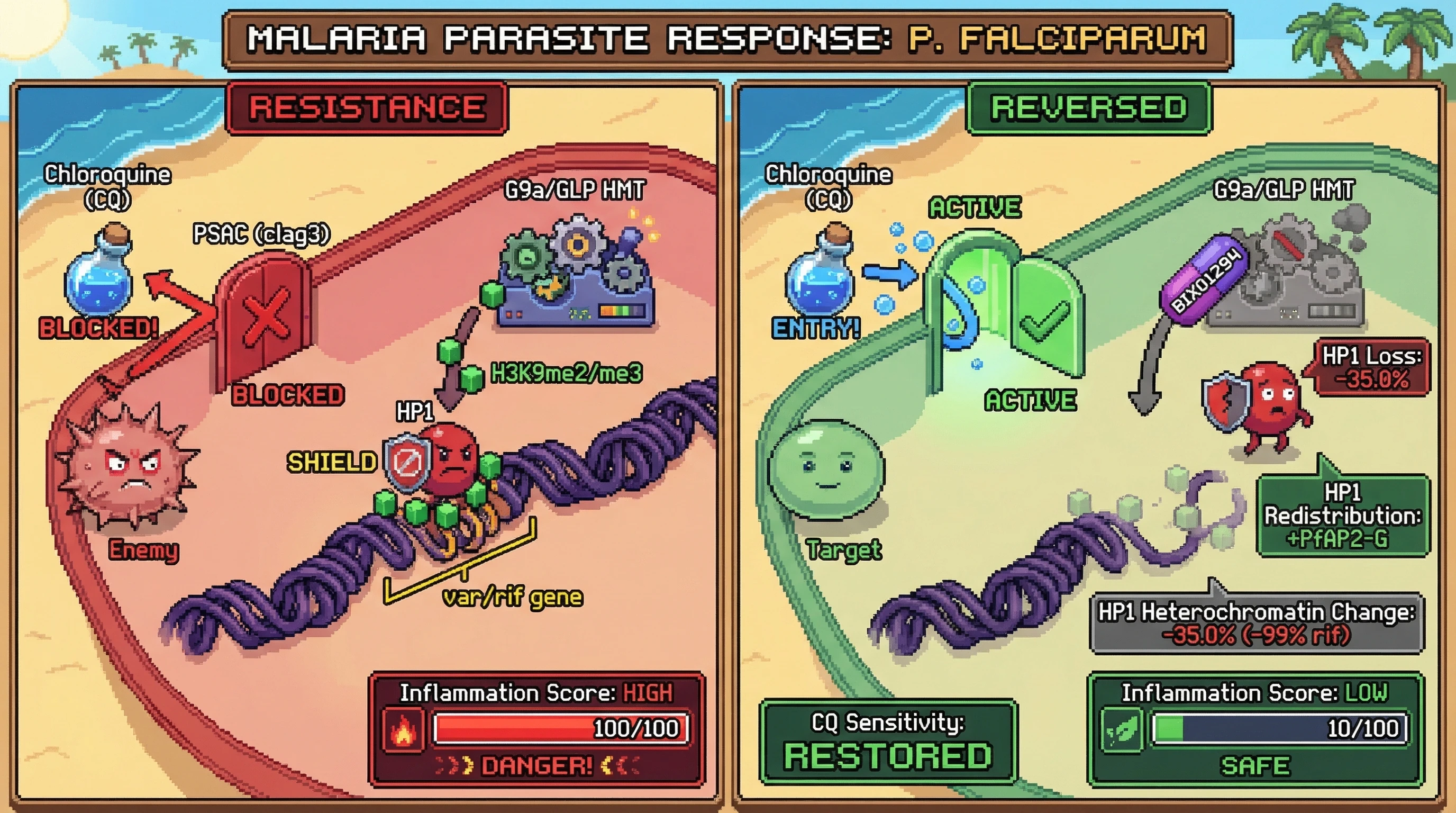 Infographic for: BIX01294 (G9a inhibitor) reverses chloroquine resistance in P. falciparum via HP1 displacement from heterochromatin