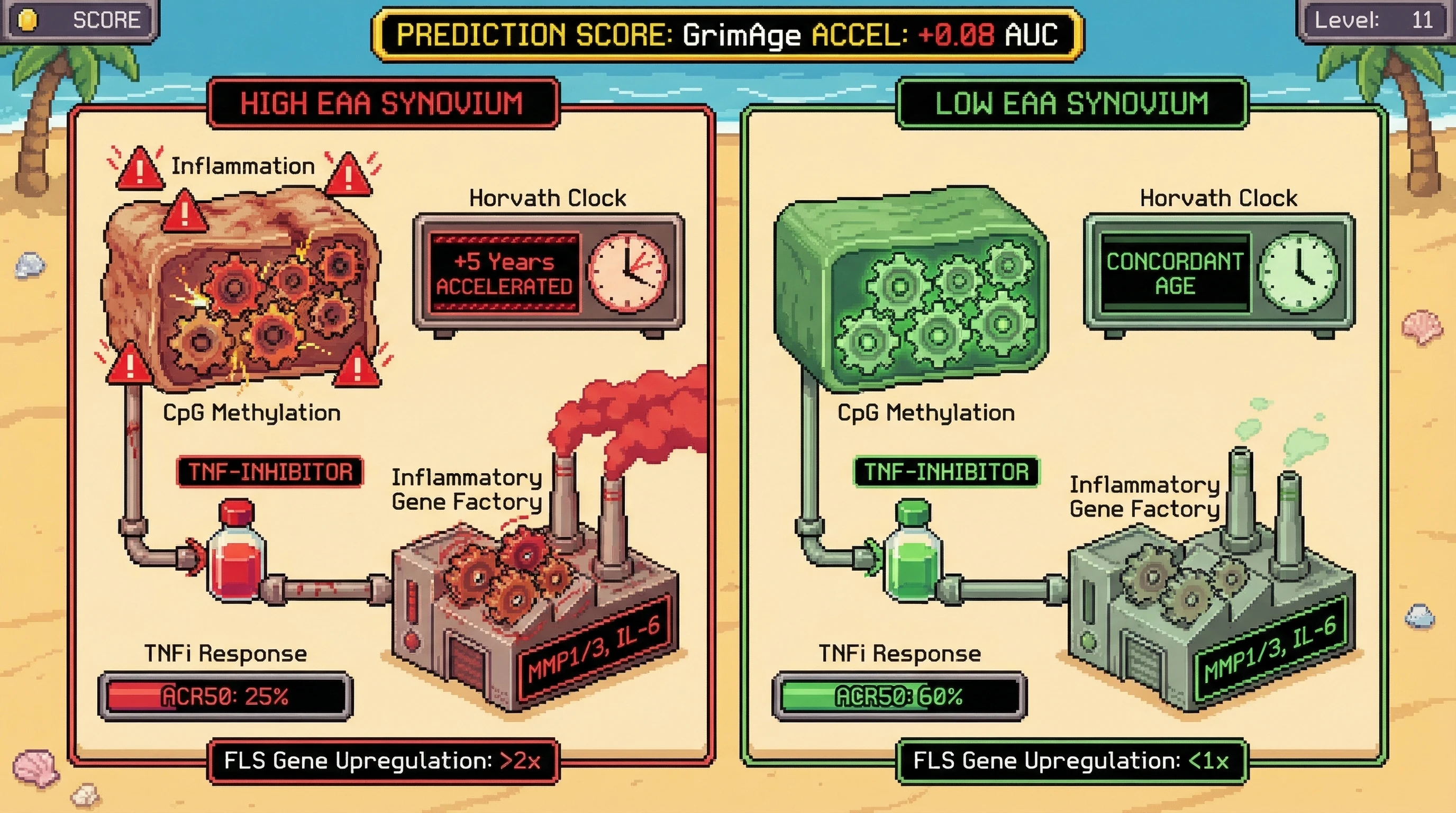 Infographic for: Epigenetic Clock Acceleration in Rheumatoid Arthritis Synovium Predicts Biologic Non-Response Within 12 Weeks