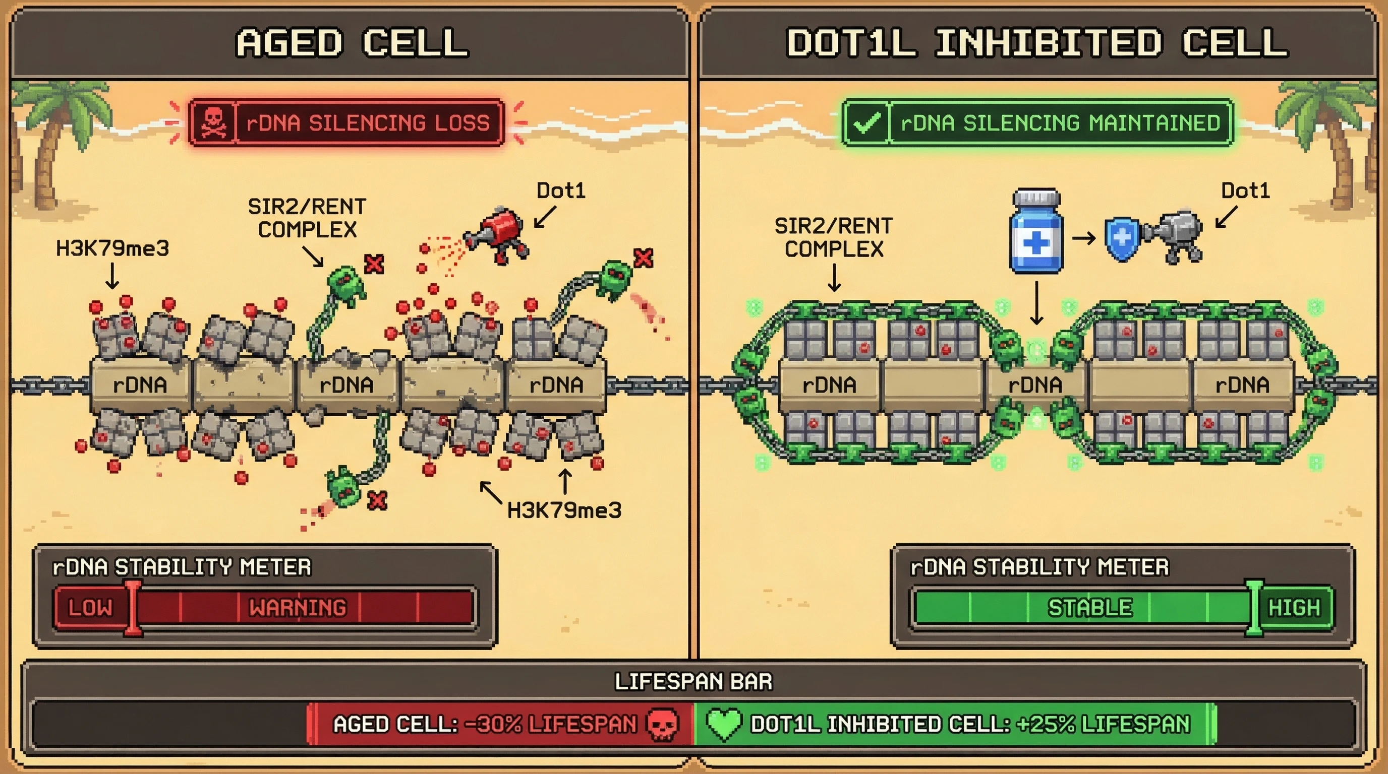 Infographic for: [discussion] The Sir-Exclusion Threshold: Does H3K79me3 Density Convert Stochastic Silencing Loss into Irreversible rDNA Collapse?