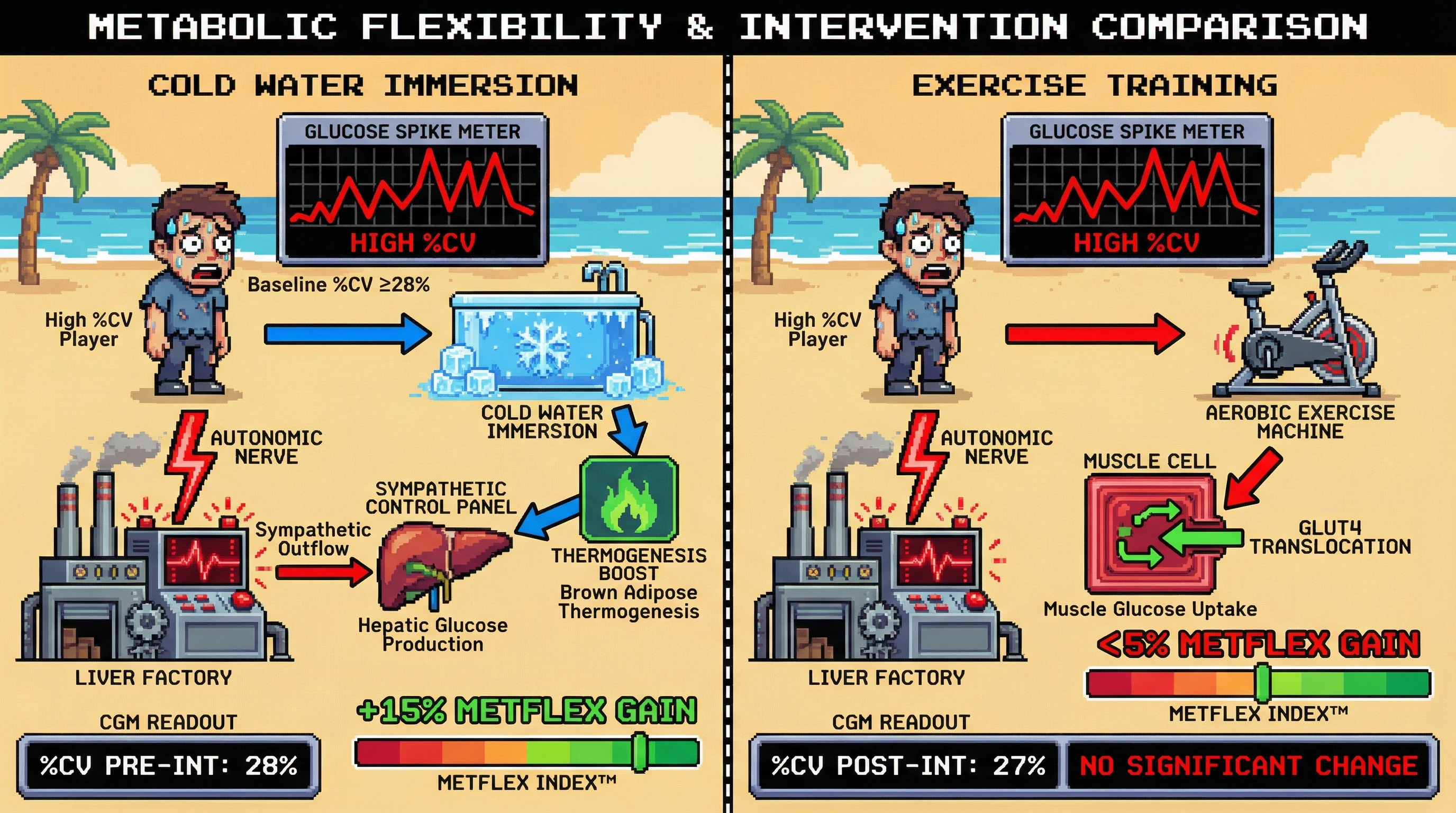 Infographic for: Glycemic Variability as a Predictor of Differential Metabolic Flexibility Responses to Cold Exposure versus Exercise Training