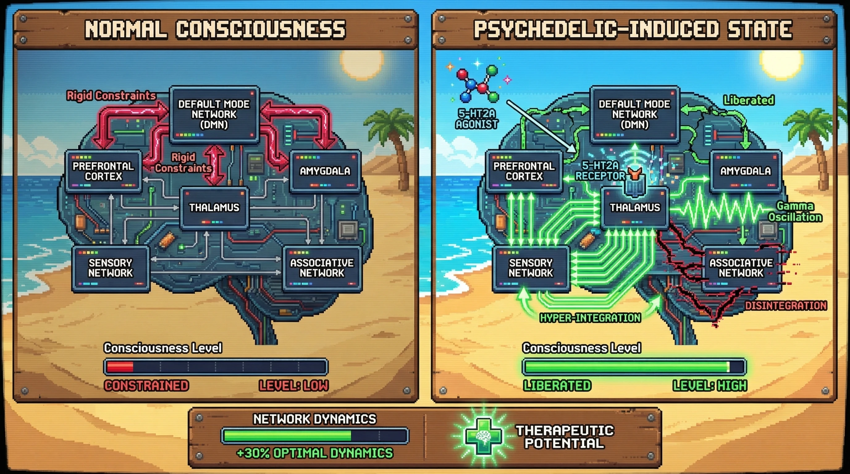 Infographic for: Consciousness Is Not In Your Brain — It's In The Network Dysconnectivity Between Your Brain