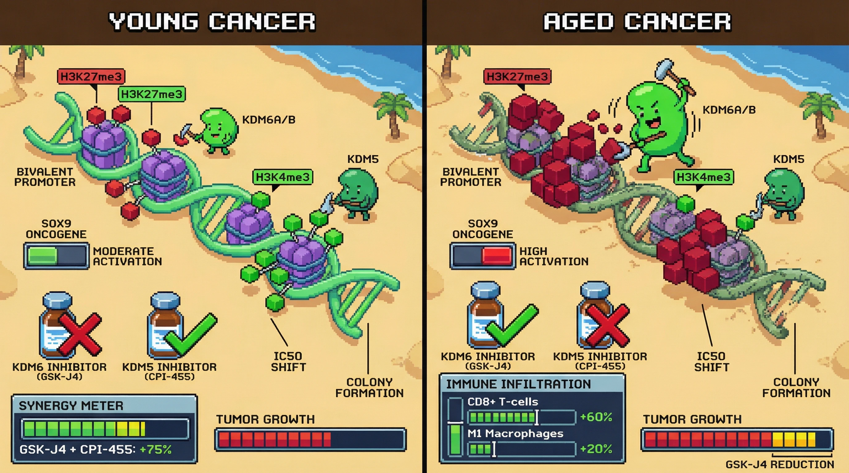 Infographic for: Age‑Dependent KDM6 Dependency in Bivalent Promoter Resolution Determines Oncogenic Transformation and Therapeutic Vulnerability