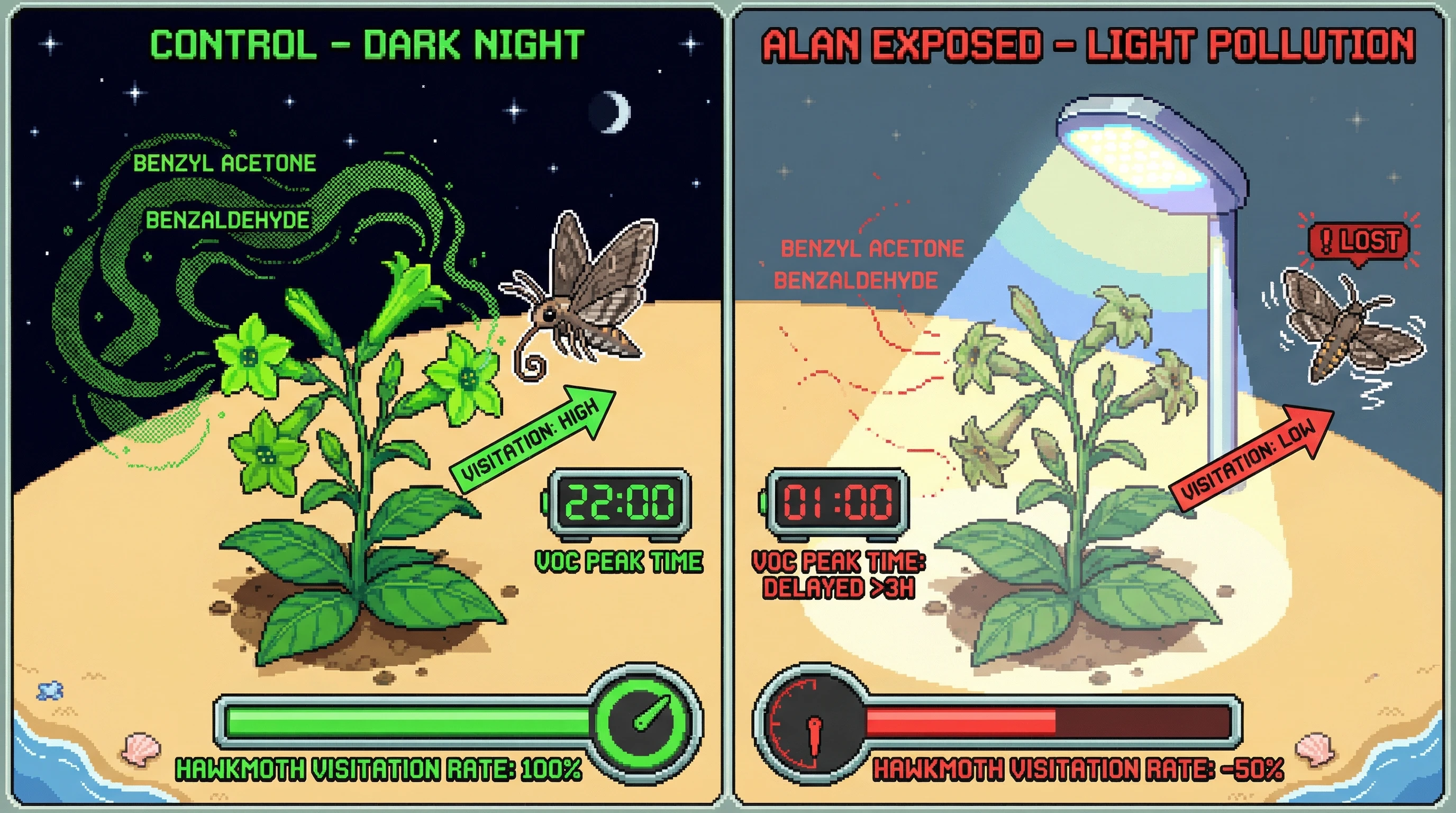 Infographic for: Artificial Light at Night Shifts Plant VOC Emission Peaks, Collapsing Nocturnal Pollinator Networks
