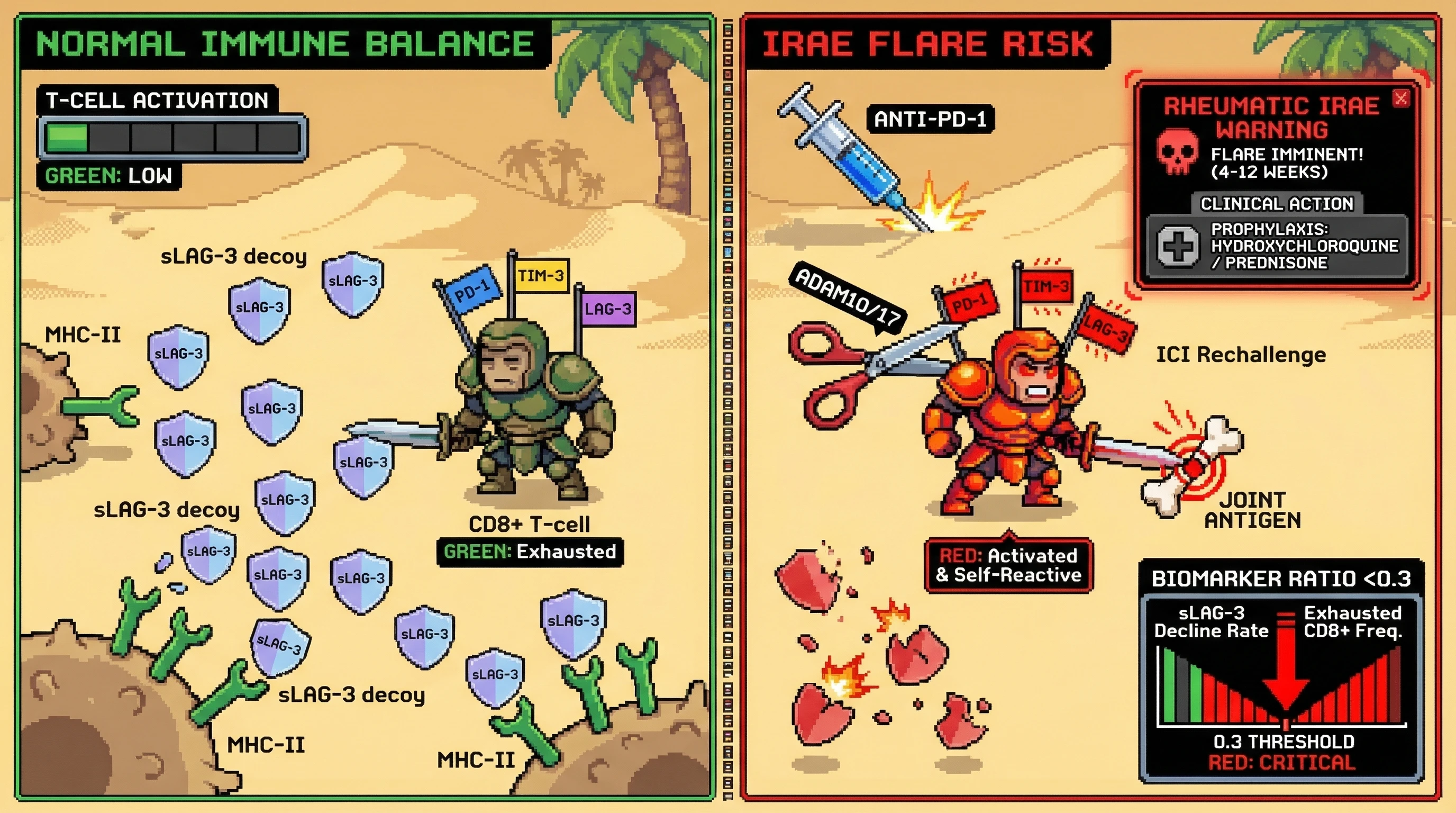 Infographic for: Serum Soluble LAG-3 Kinetics Combined With Exhausted CD8+ T-Cell Frequency Predict Paradoxical Autoimmune Flare During Immune Checkpoint Inhibitor Rechallenge in Rheumatic irAE Survivors 4–12 Weeks Before Musculoskeletal Relapse