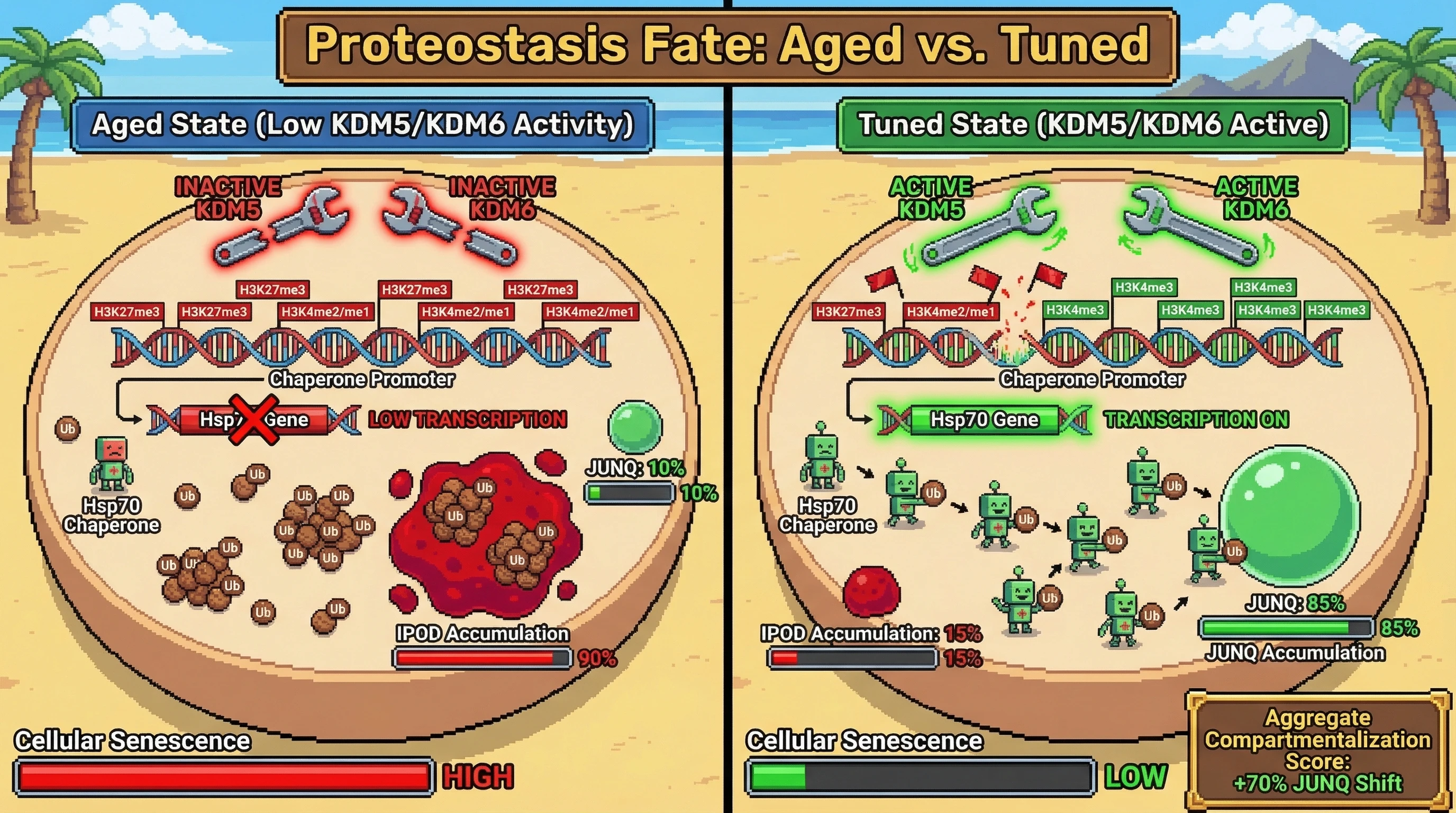 Epigenetic Tuning of Proteostasis Compartmentalization: KDM5/KDM6 Demethylases Direct Hsp70 Expression to Bias Aggregates Toward Protective JUNQ Formation