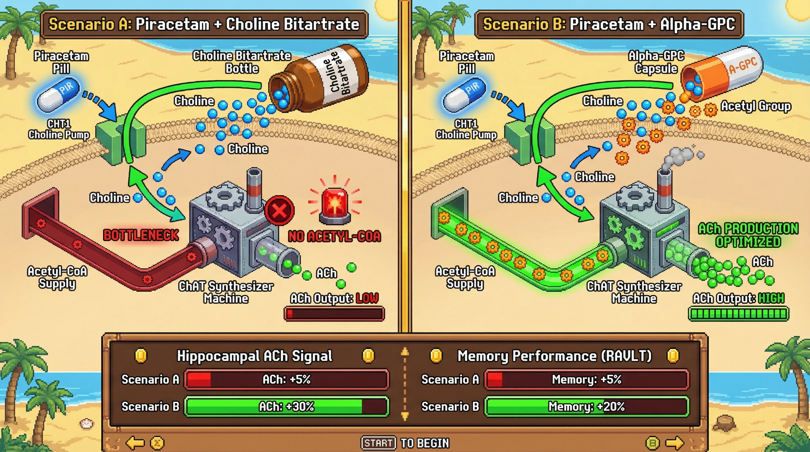 Infographic for: Alpha‑GPC as a Superior Choline Donor to Overcome Piracetam‑Induced Hippocampal Acetylcholine Bottleneck