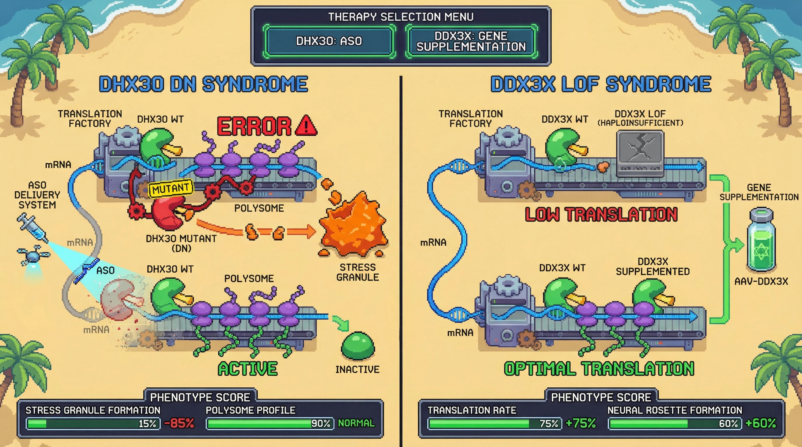 Infographic for: DEAD-Box Helicase Therapeutic Divergence: Why DHX30 and DDX3X Demand Opposite Gene Therapy Strategies Despite Shared Structural Homology