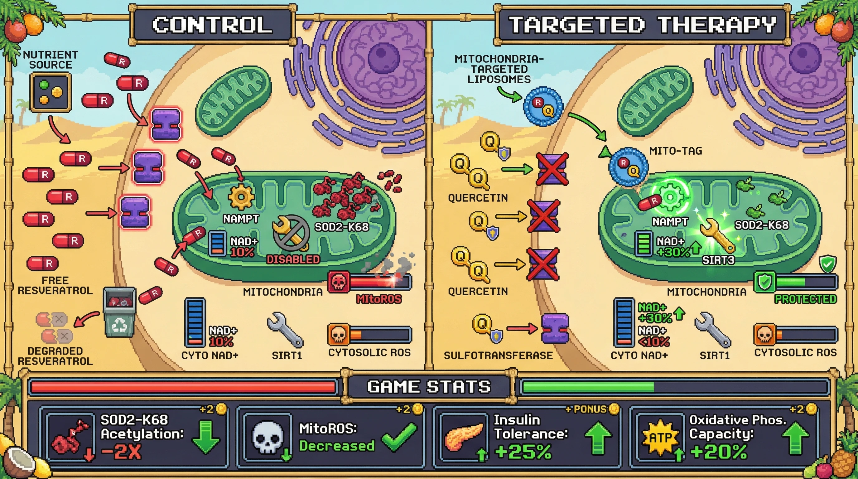 Infographic for: Quercetin-Enhanced Mitochondrial-Targeted Liposomal Resveratrol Selectively Activates SIRT3 via Compartmentalized NAD+ Boost, Reducing Redox Confounding in Aging Models