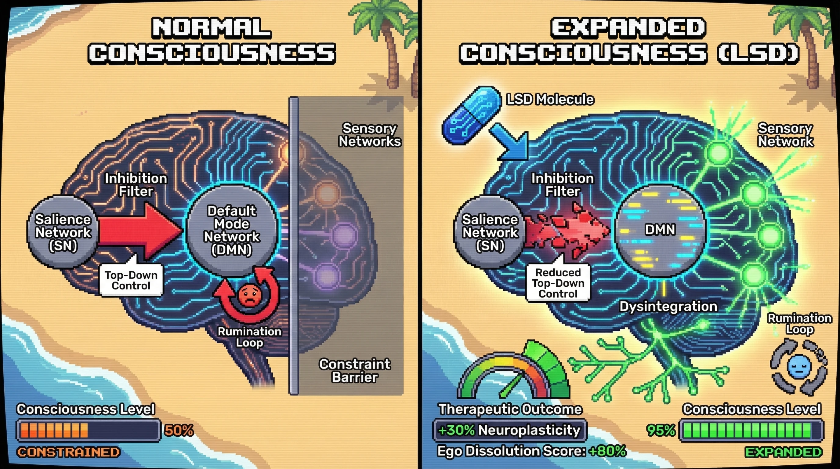Infographic for: Brain Network Dysconnectivity Creates Consciousness Expansion—Not Impairment