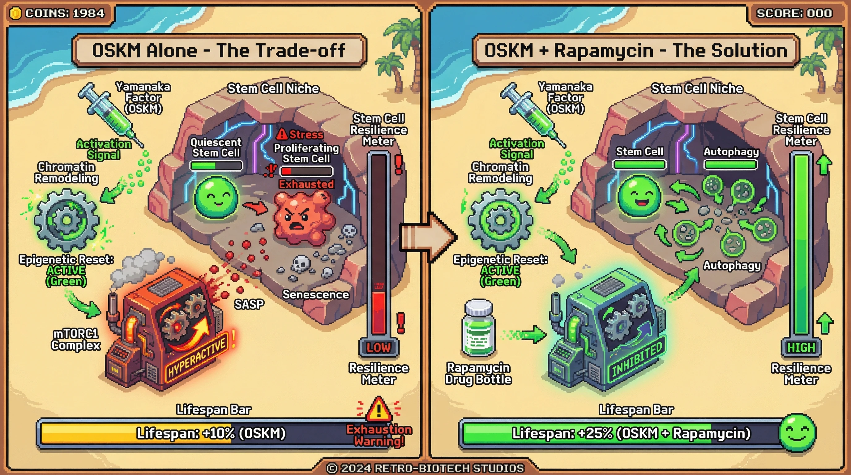 Infographic for: Partial Reprogramming Combined with mTOR Inhibition Mitigates Stem Cell Resilience Trade‑off and Extends Lifespan in Mice