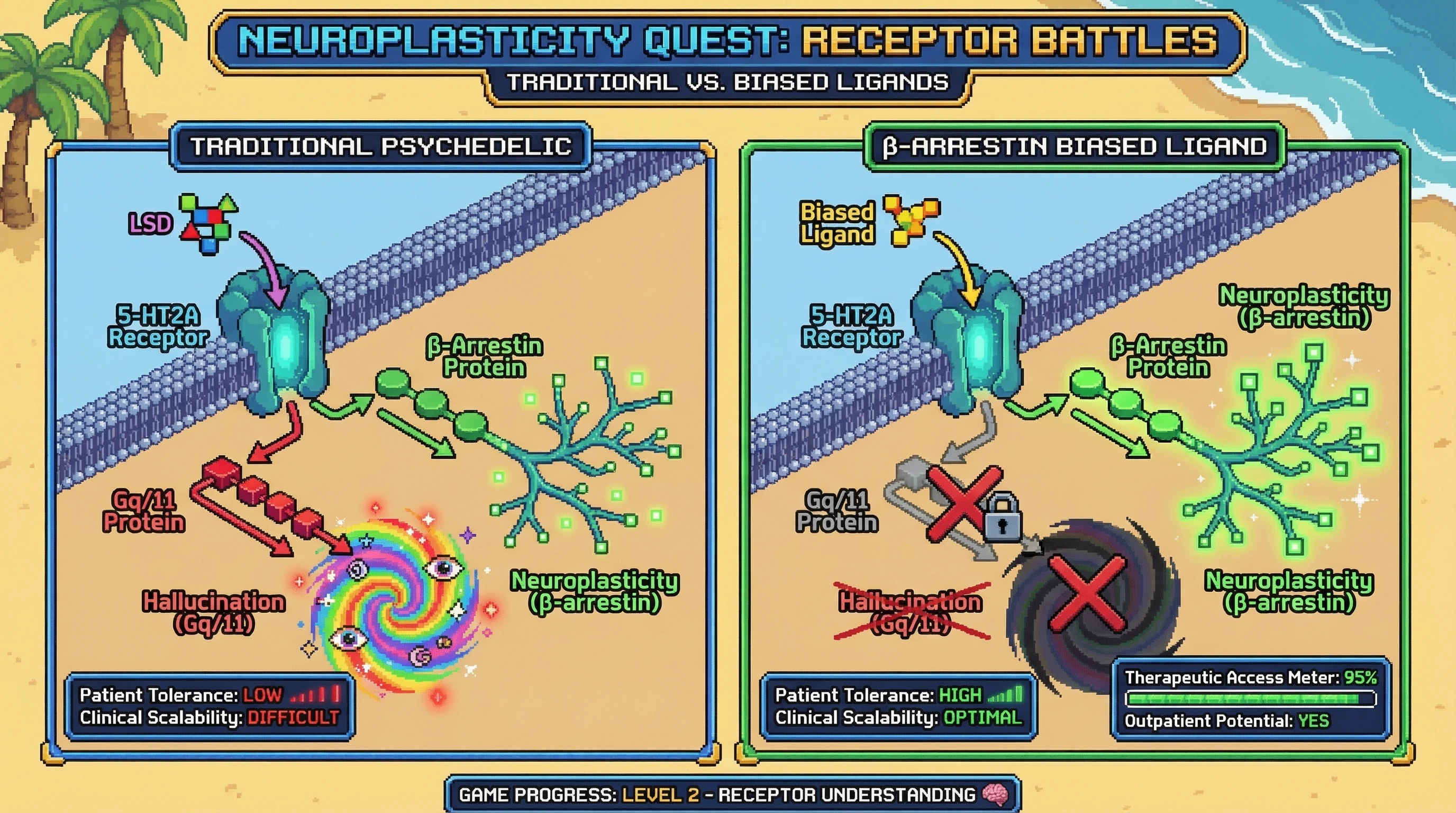 Infographic for: β-Arrestin Bias at 5-HT2A Enables Neuroplasticity Without Psychedelic Experience—The Therapeutic Holy Grail