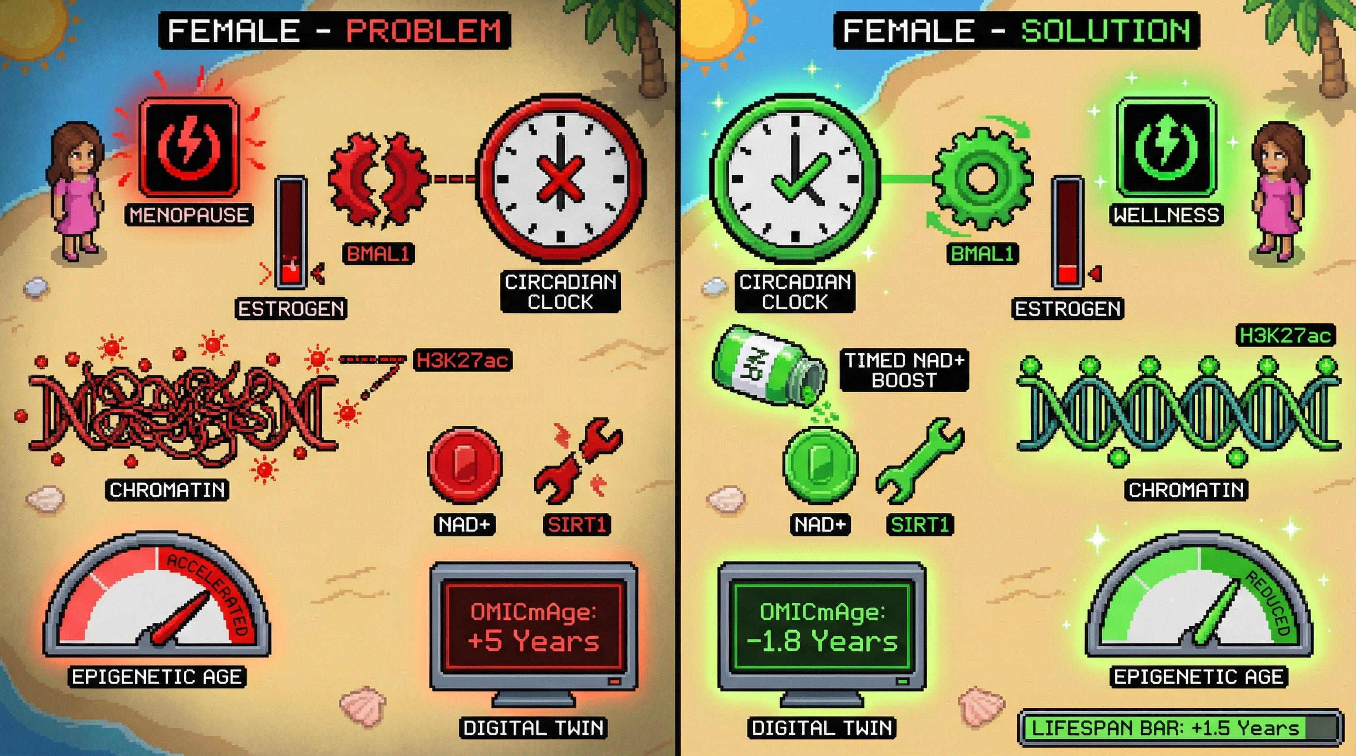 Infographic for: Circadian Chromatin Remodeling as a Sex‑Specific Lever for Biological Age Reset in Digital Twin Aging Models