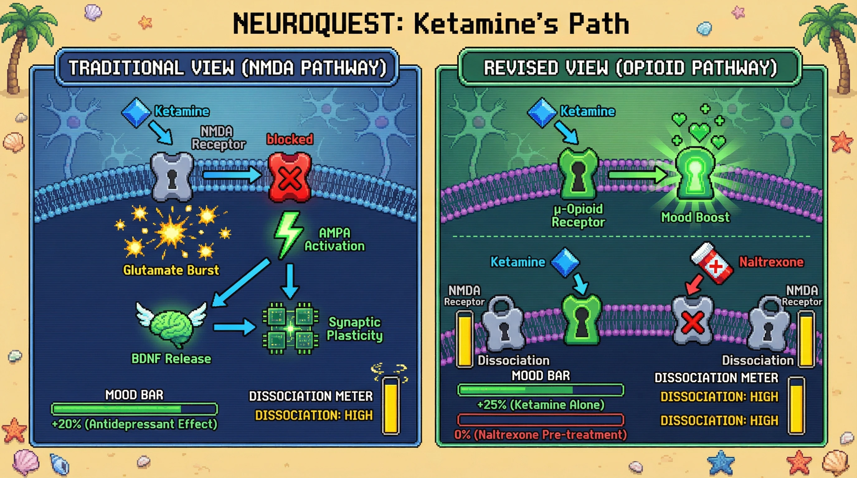 This infographic illustrates the revised hypothesis that Ketamine's rapid antidepressant effect is mediated by the μ-opioid receptor, not the NMDA receptor, which instead causes dissociative effects. Blocking the μ-opioid receptor with Naltrexone prevents Ketamine's antidepressant action.