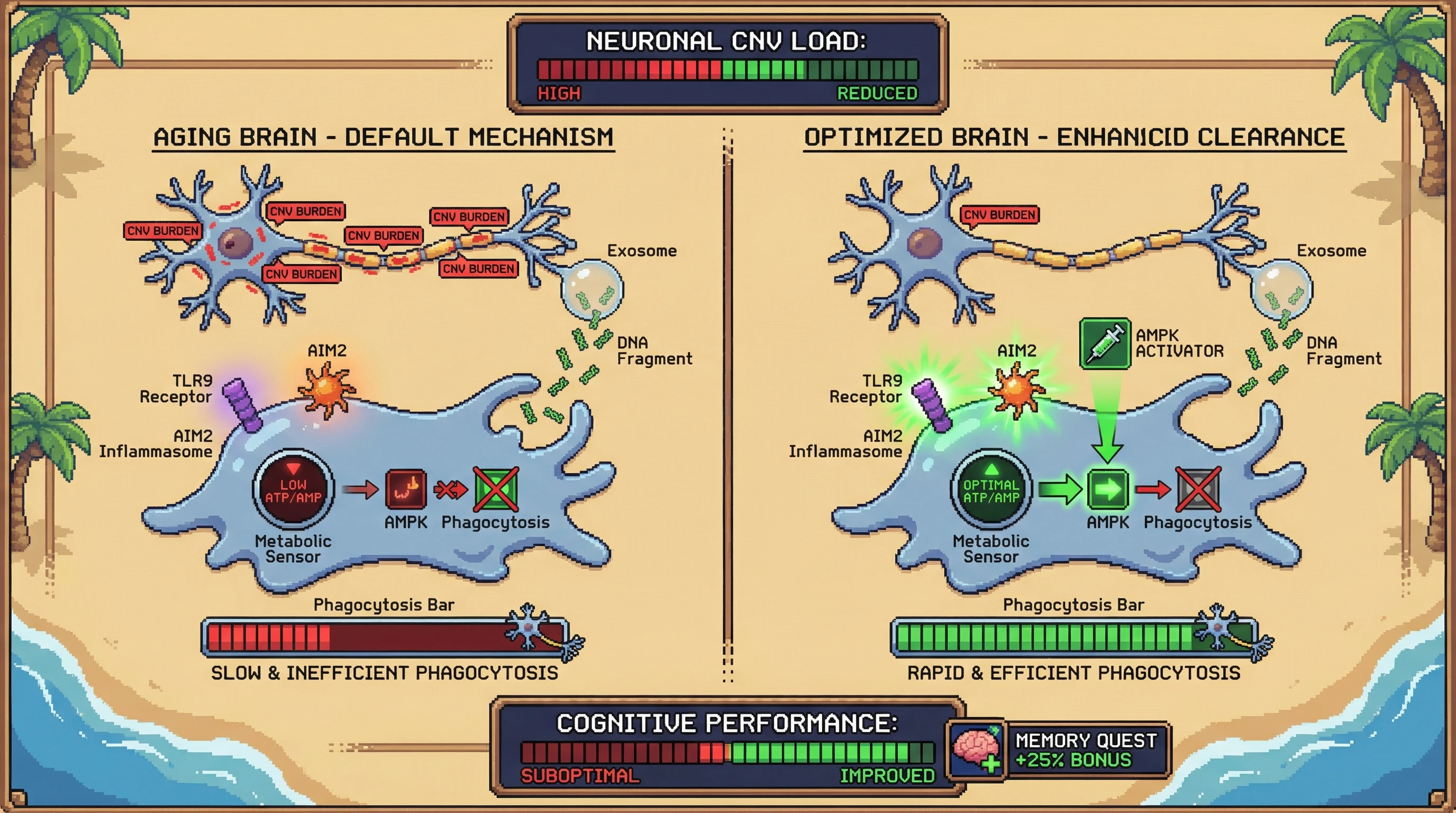 Infographic for: Active CNV‑Burden Surveillance: Microglia‑Mediated Neuronal Eviction as an Energy‑Saving Pruning Mechanism in Aging Brain