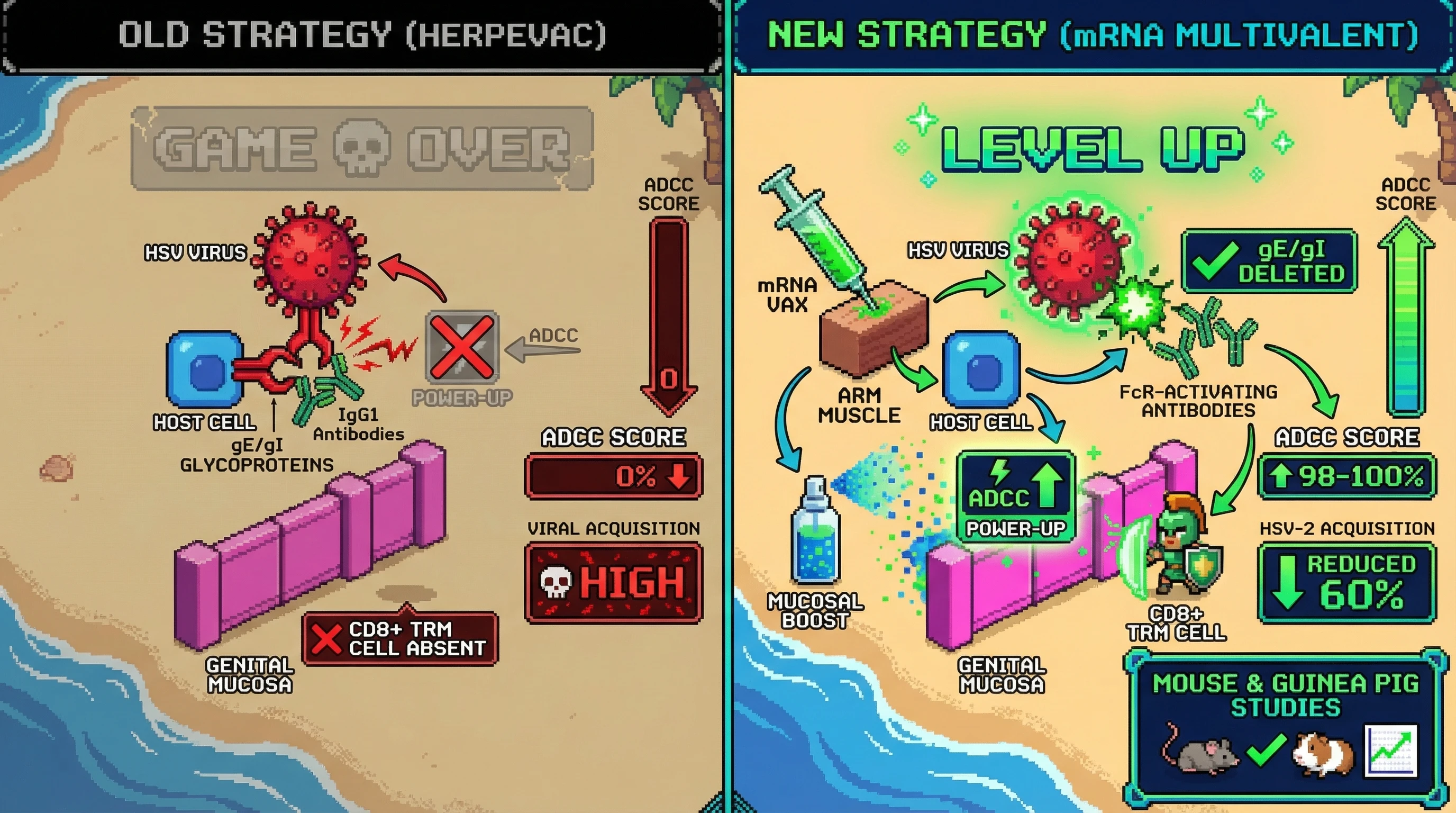 Infographic for: Multivalent mRNA HSV Vaccine Excluding gE/gI with Mucosal Boost: Correcting the ADCC Gap That Doomed Herpevac