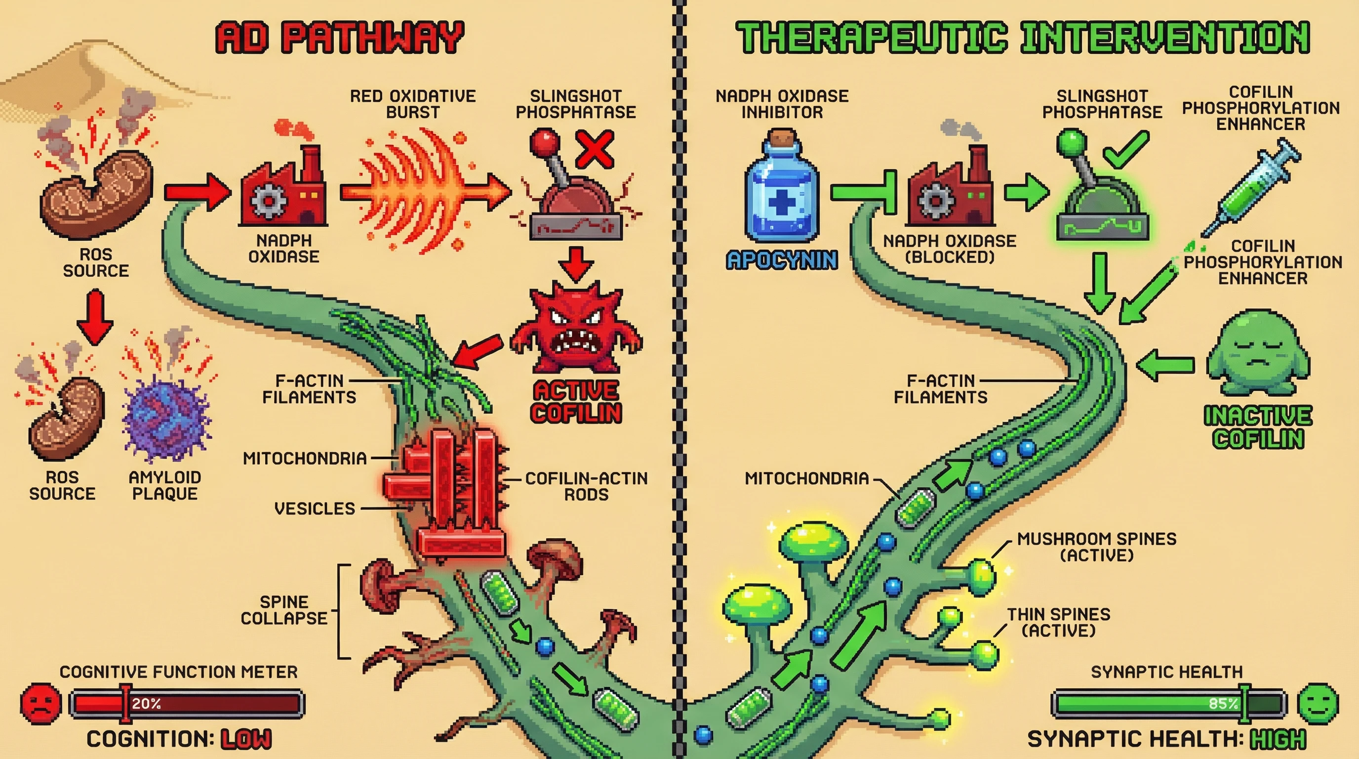 Infographic for:  Dendritic Spine Loss Hypothesis On Alzheimer's Disease