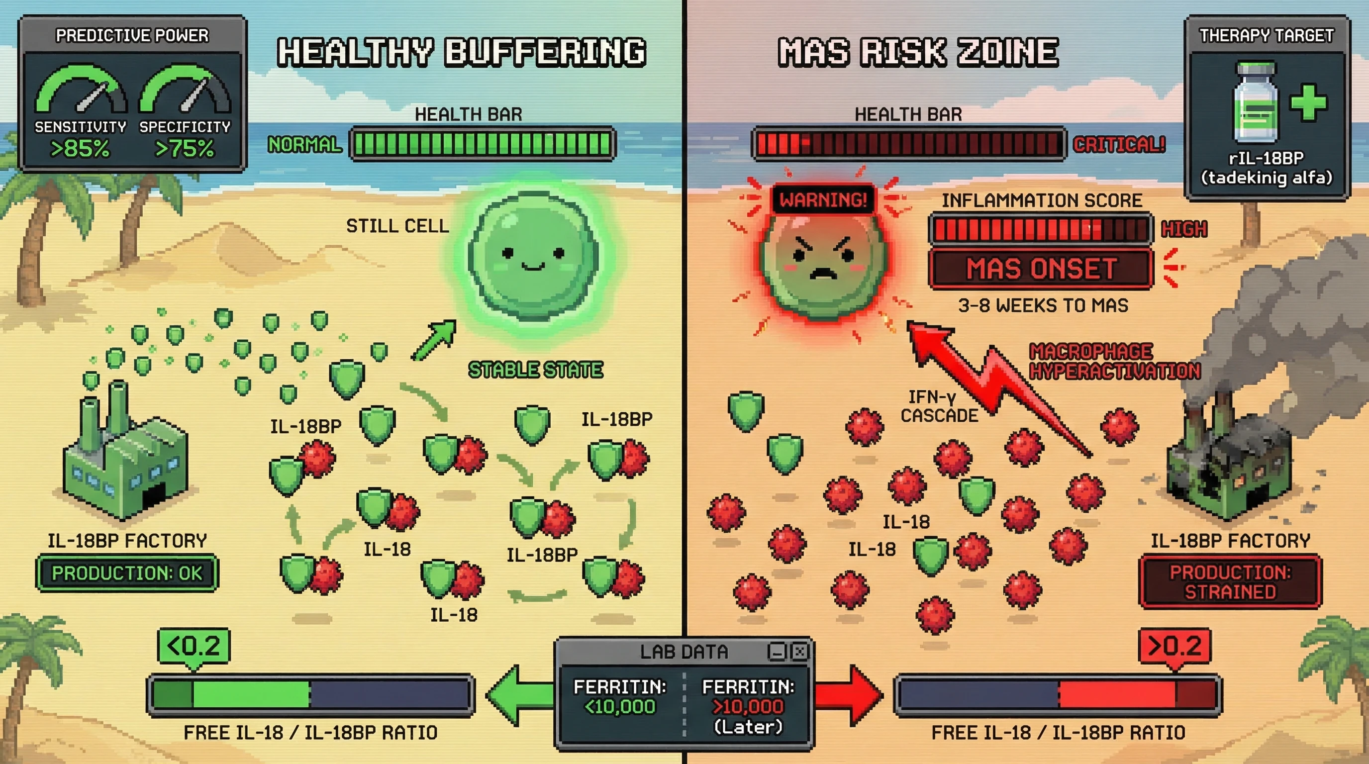 Mechanism: In Adult-onset Still disease, a high free IL-18 to IL-18BP ratio indicates saturated buffering capacity, leading to unchecked IL-18 activity and macrophage hyperactivation. Readout: Readout: This ratio crossing a 0.2 threshold predicts Macrophage Activation Syndrome (MAS) onset 3-8 weeks before a ferritin surge, with 85% sensitivity and 75% specificity.