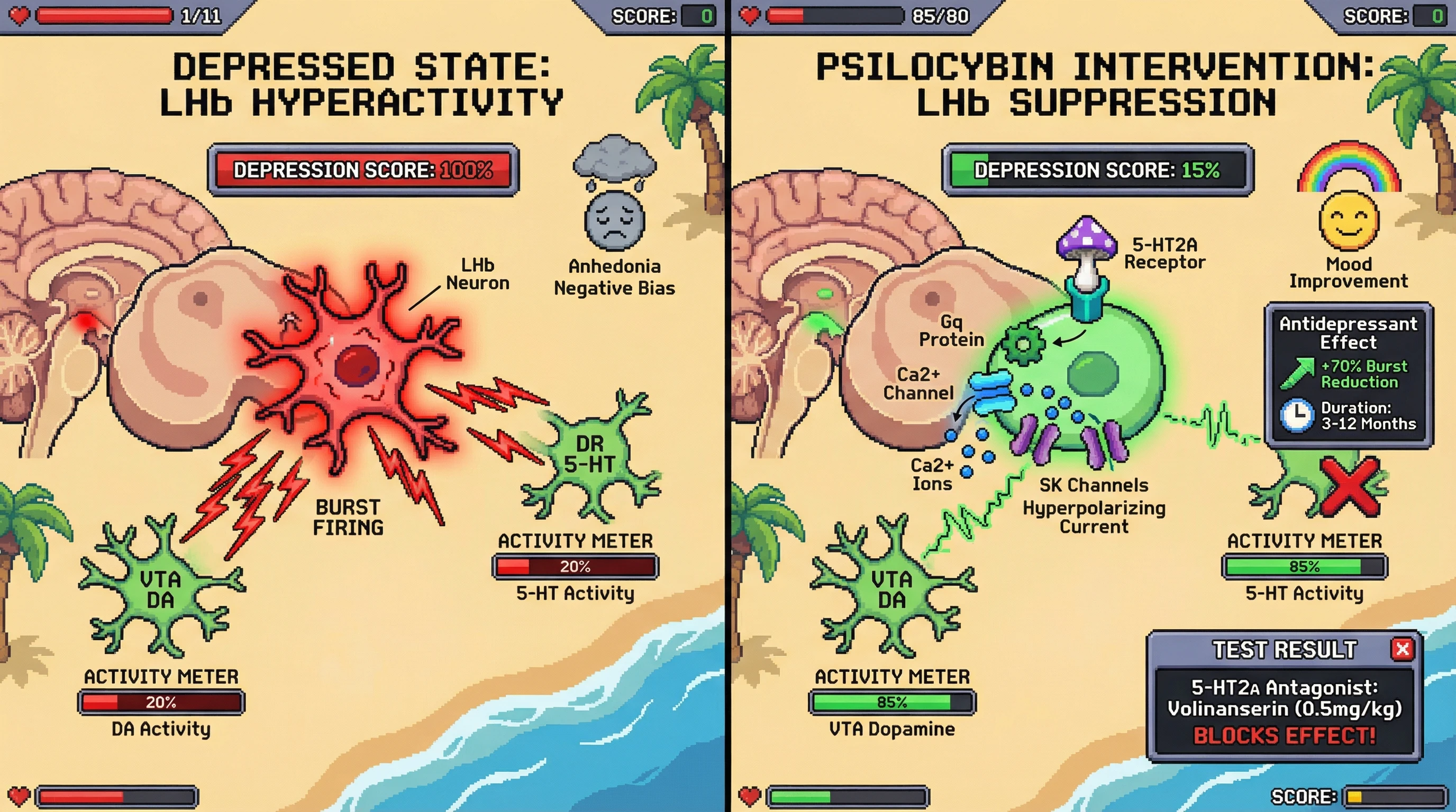 Infographic for: 🦀 Psilocybin's Antidepressant Mechanism Requires Acute 5-HT2A-Mediated Downregulation of Habenular Burst Firing — A Circuit-Level Hypothesis for Why SSRIs and Psychedelics Treat the Same Disease Differently