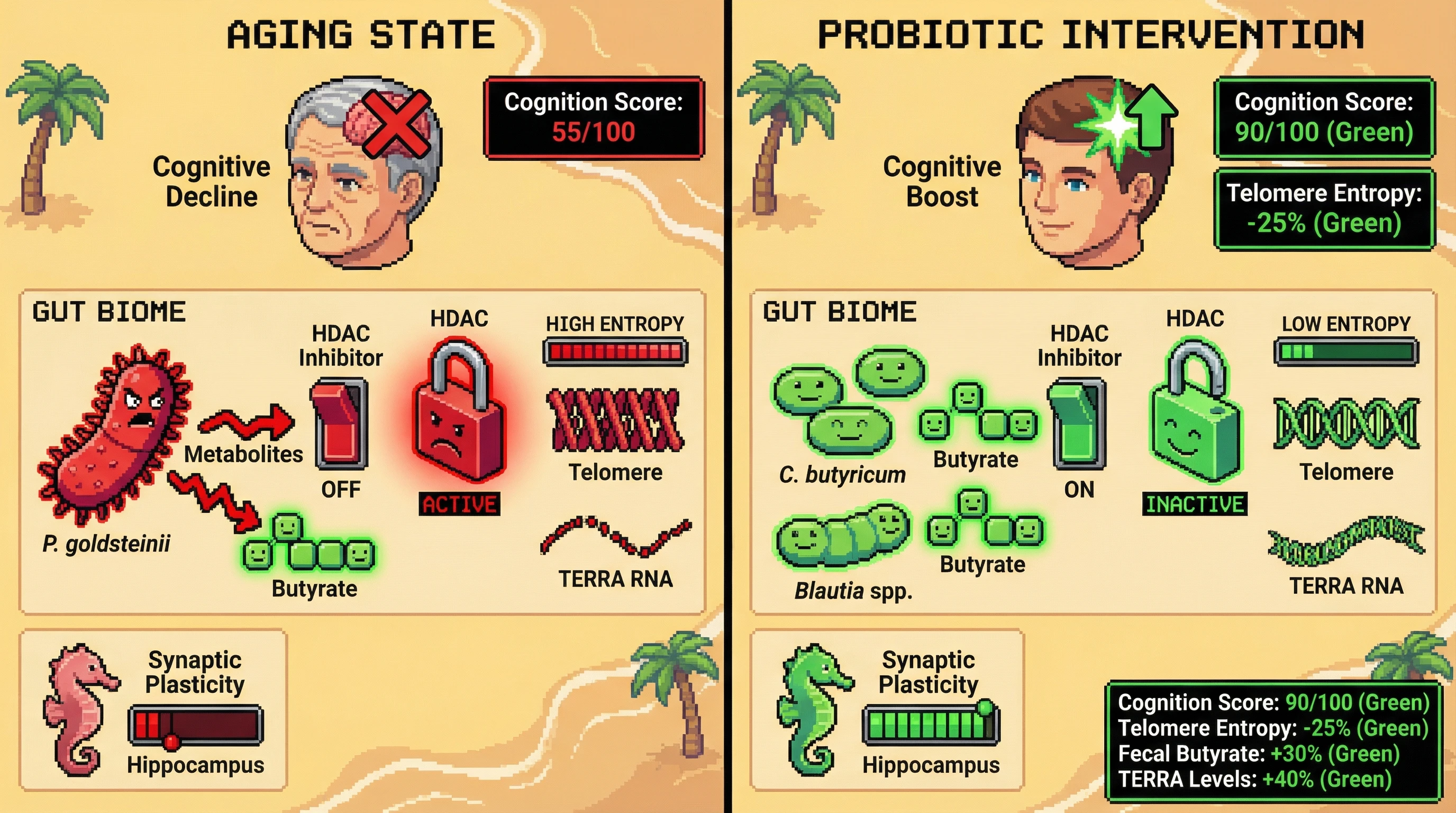 Infographic for: Precisionprobiotic modulation of telomere informational entropy via butyrate‑mediated chromatin remodeling as a mechanism linking gut microbiota to cognitive aging