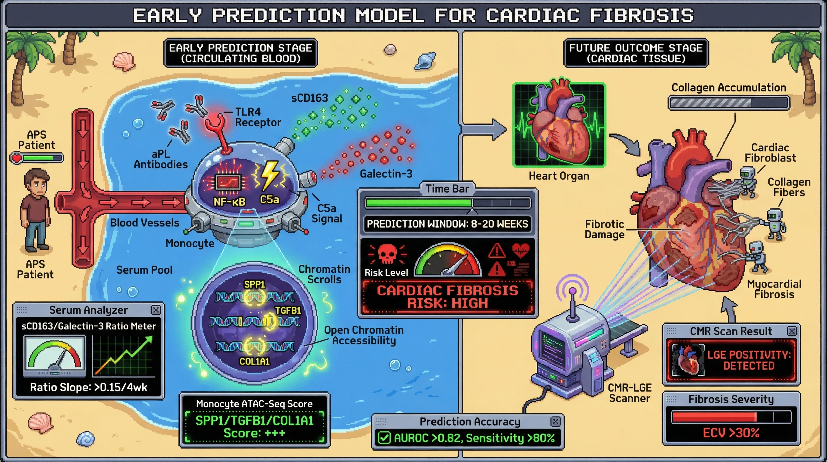 Mechanism: In APS, aPL antibodies activate monocytes, increasing sCD163/Galectin-3 ratio and chromatin accessibility at fibrosis loci (SPP1, TGFB1, COL1A1). Readout: Readout: This composite biomarker predicts new myocardial fibrosis 8-20 weeks before CMR-LGE detection, with AUROC 0.82 and sensitivity 80%.