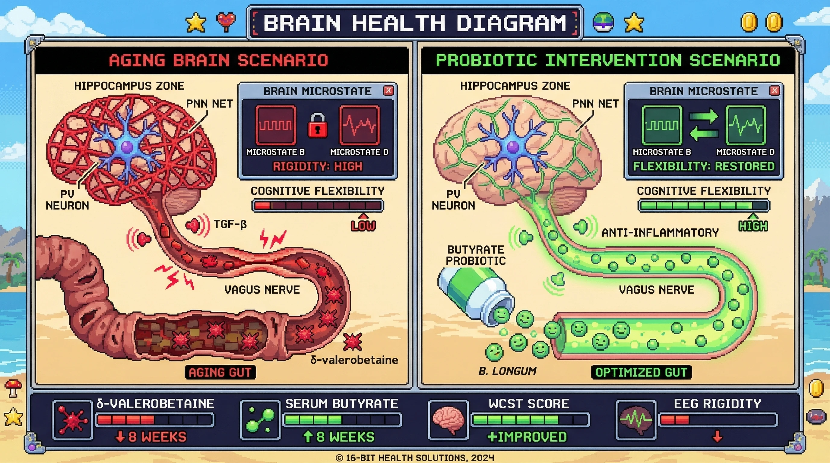 Infographic for: Targeted Perineuronal Net Degradation via Gut‑Derived Butyrate Restores Cognitive Flexibility in Aging