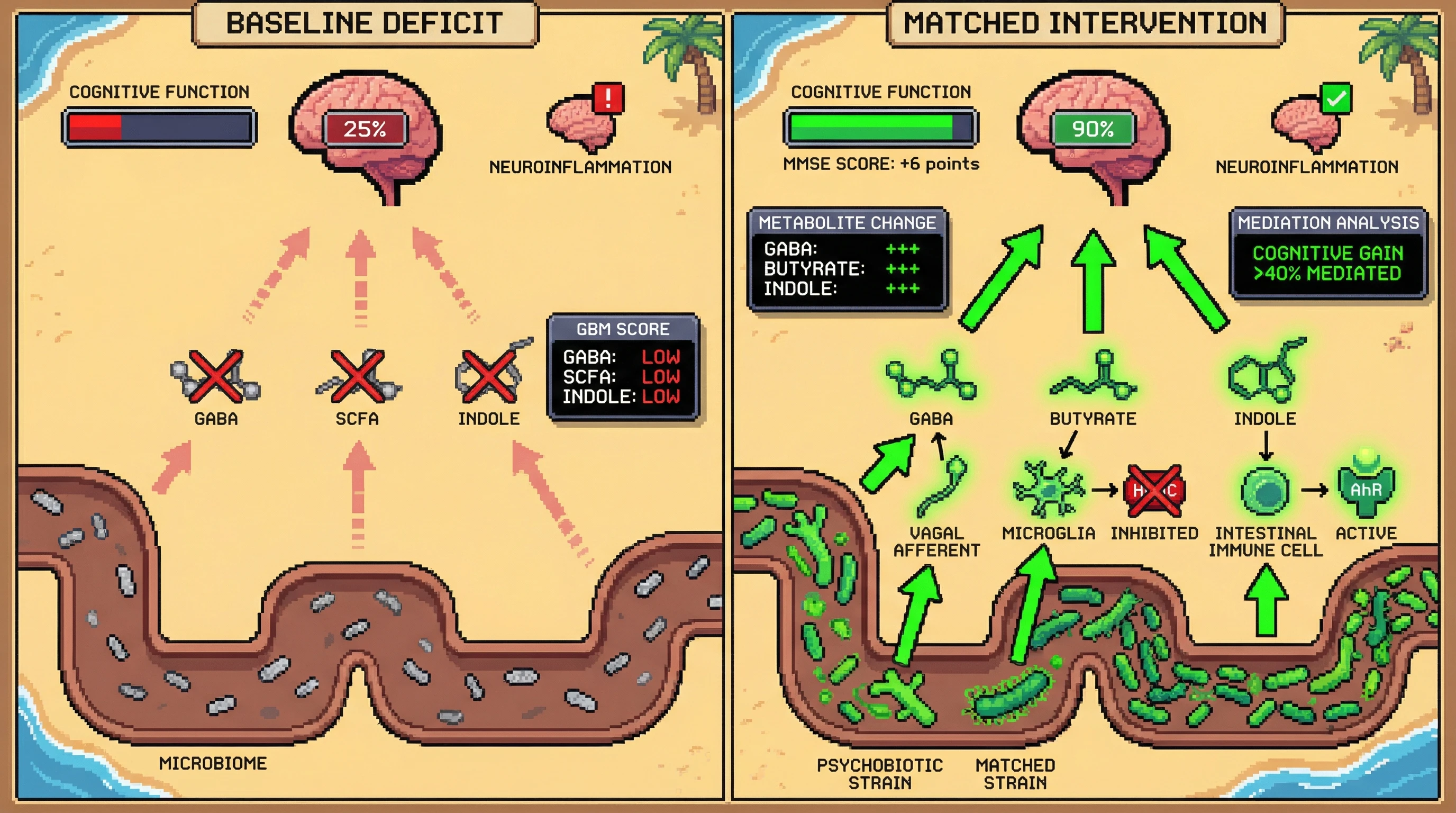 Infographic for: Baseline GABA and SCFA Deficiency Stratifies Response to Precision Psychobiotics: A Mechanistic Hypothesis Linking Strain‑Specific Metabolite Restoration to Cognitive Gains