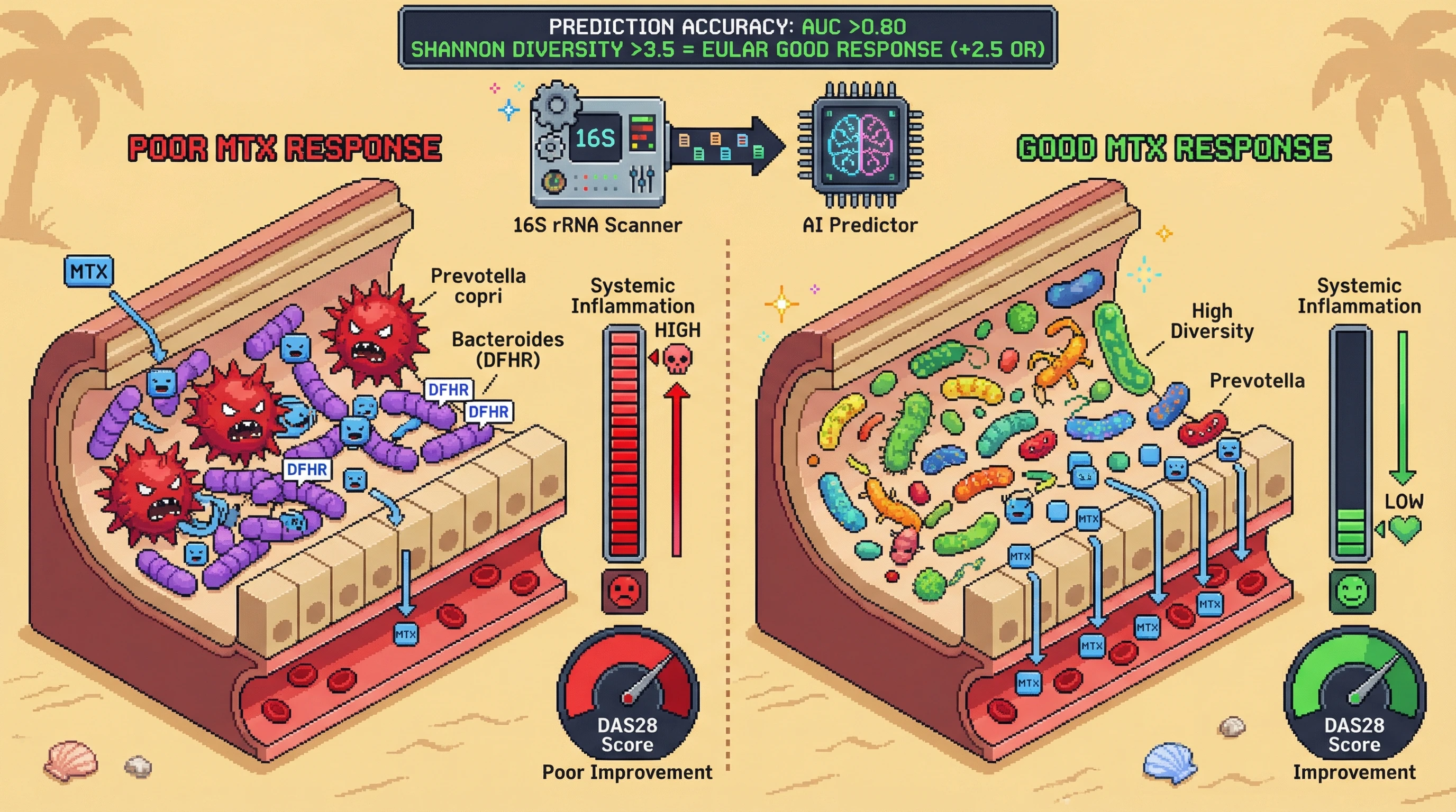 Infographic for: Hypothesis: Pre-treatment gut microbiome composition predicts methotrexate efficacy in rheumatoid arthritis with AUC >0.80