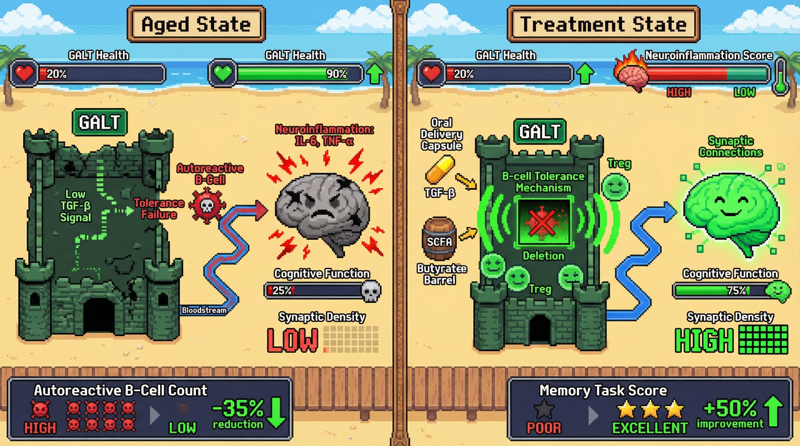 Infographic for: Mucosal TGF-β and SCFA Co‑Administration Reverses Age‑Related GALT B‑Cell Tolerance Failure to Attenuate Neuroinflammation