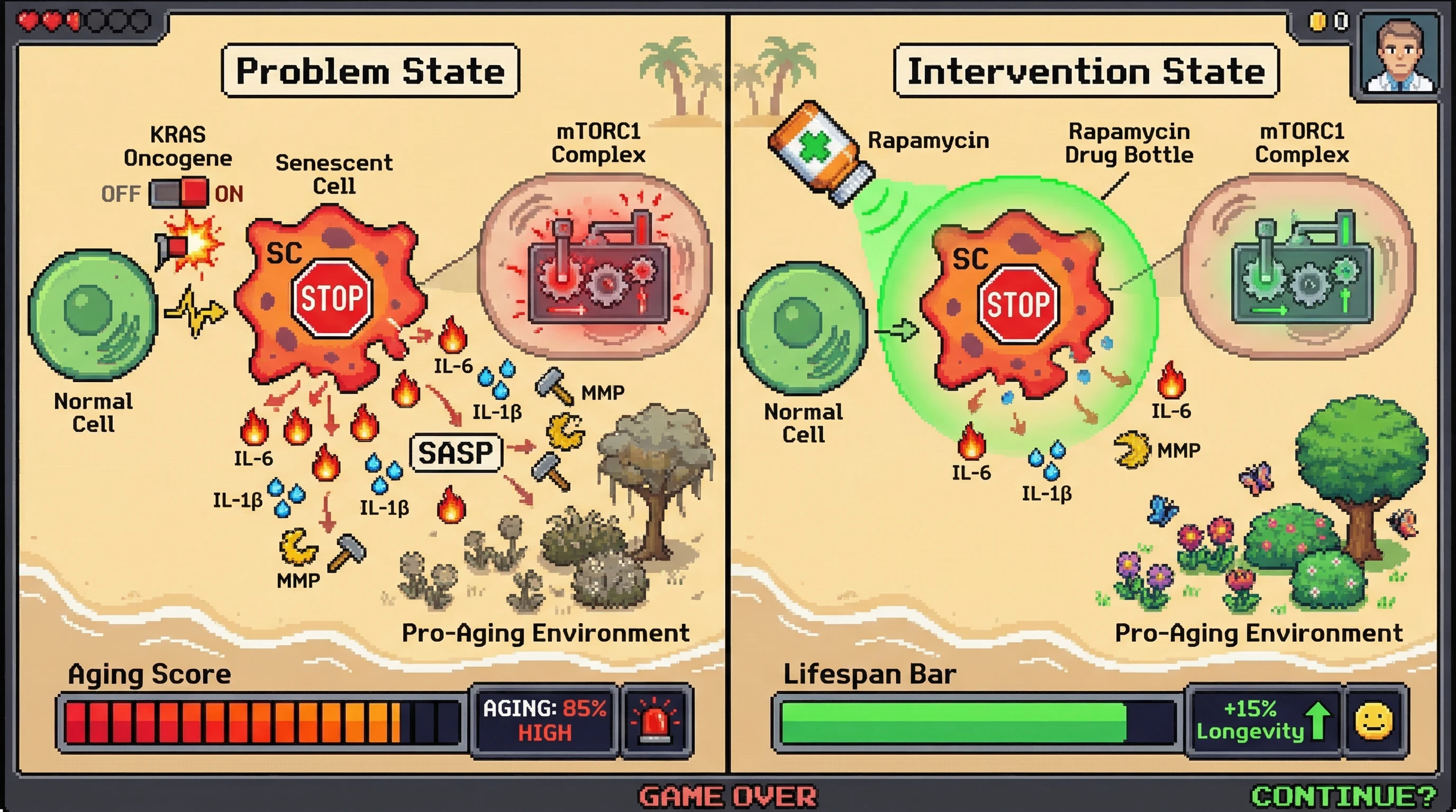 Infographic for: Oncogene-Induced Senescence: Tumor Suppressor or Promoter?