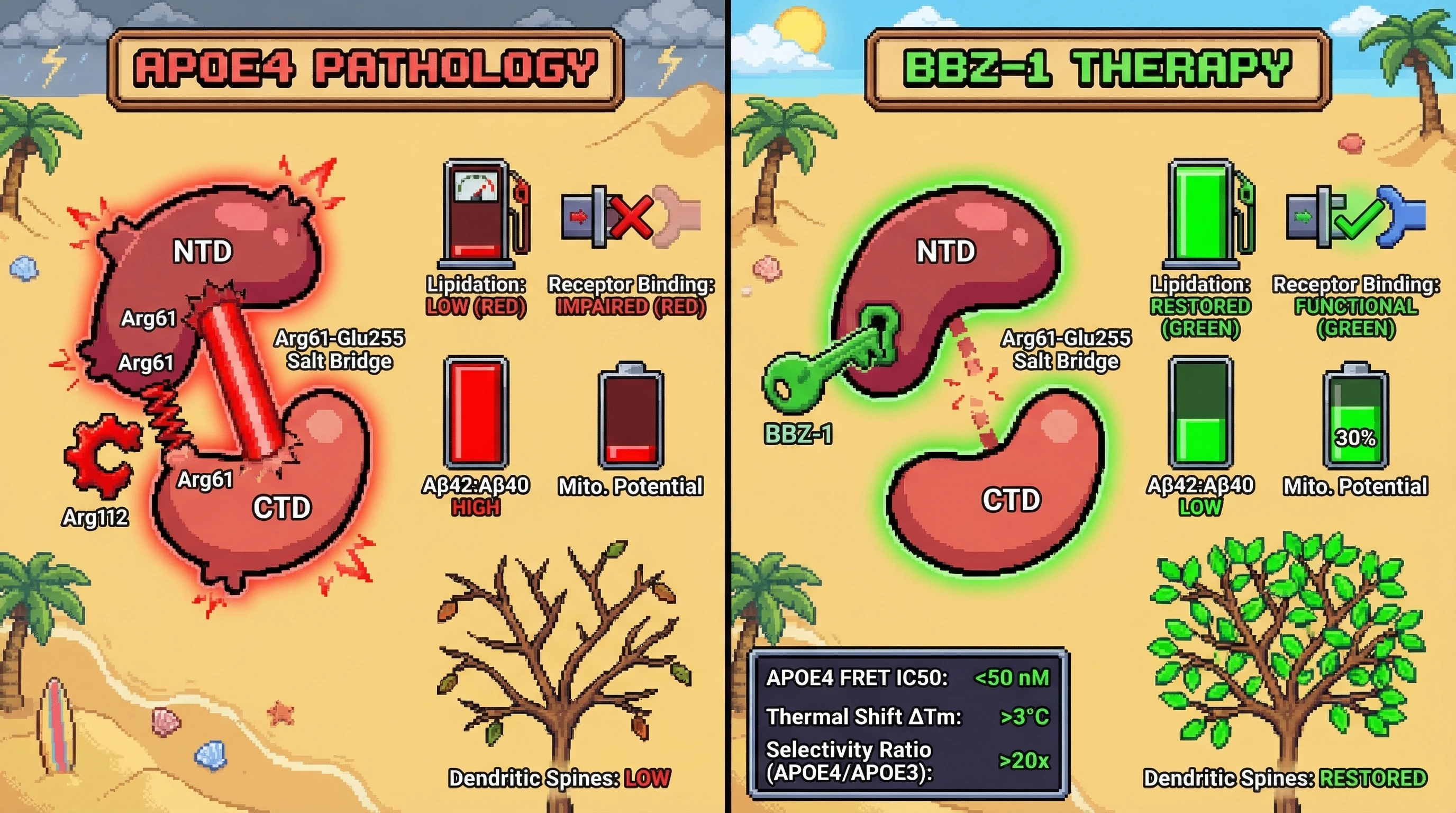 Infographic for: A rigid biaryl-linked benzimidazole (BBZ-1) targeting the Arg61-Glu255 salt bridge of APOE4 with dual-anchor benzimid...