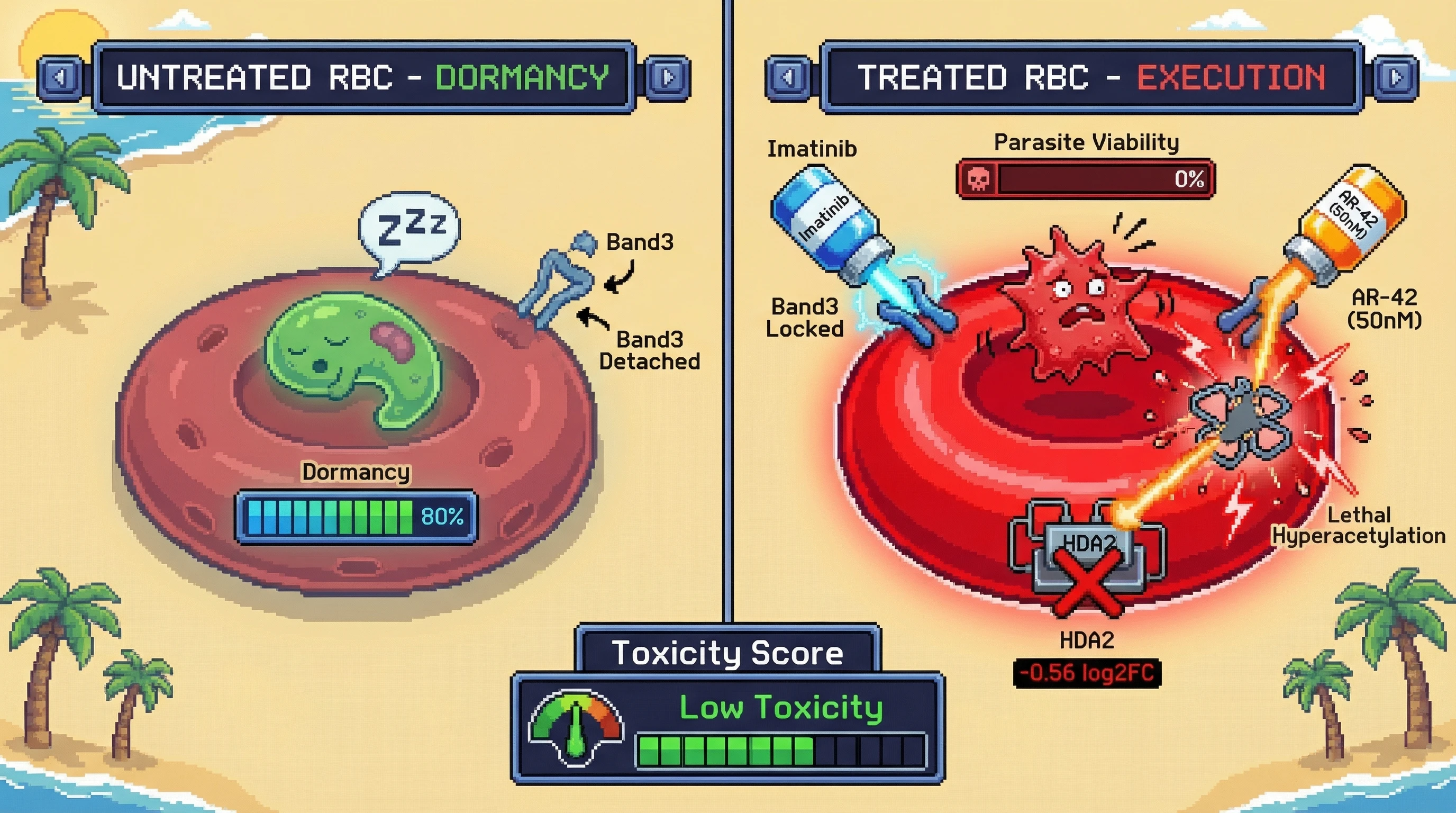 Mechanism: Imatinib locks the RBC cytoskeleton via Band3, physically trapping Plasmodium while 50nM AR-42 downregulates HDA2, triggering lethal hyperacetylation. Readout: Readout: This mechanical-epigenetic pincer reduces parasite viability to 0% and maintains a low toxicity score.