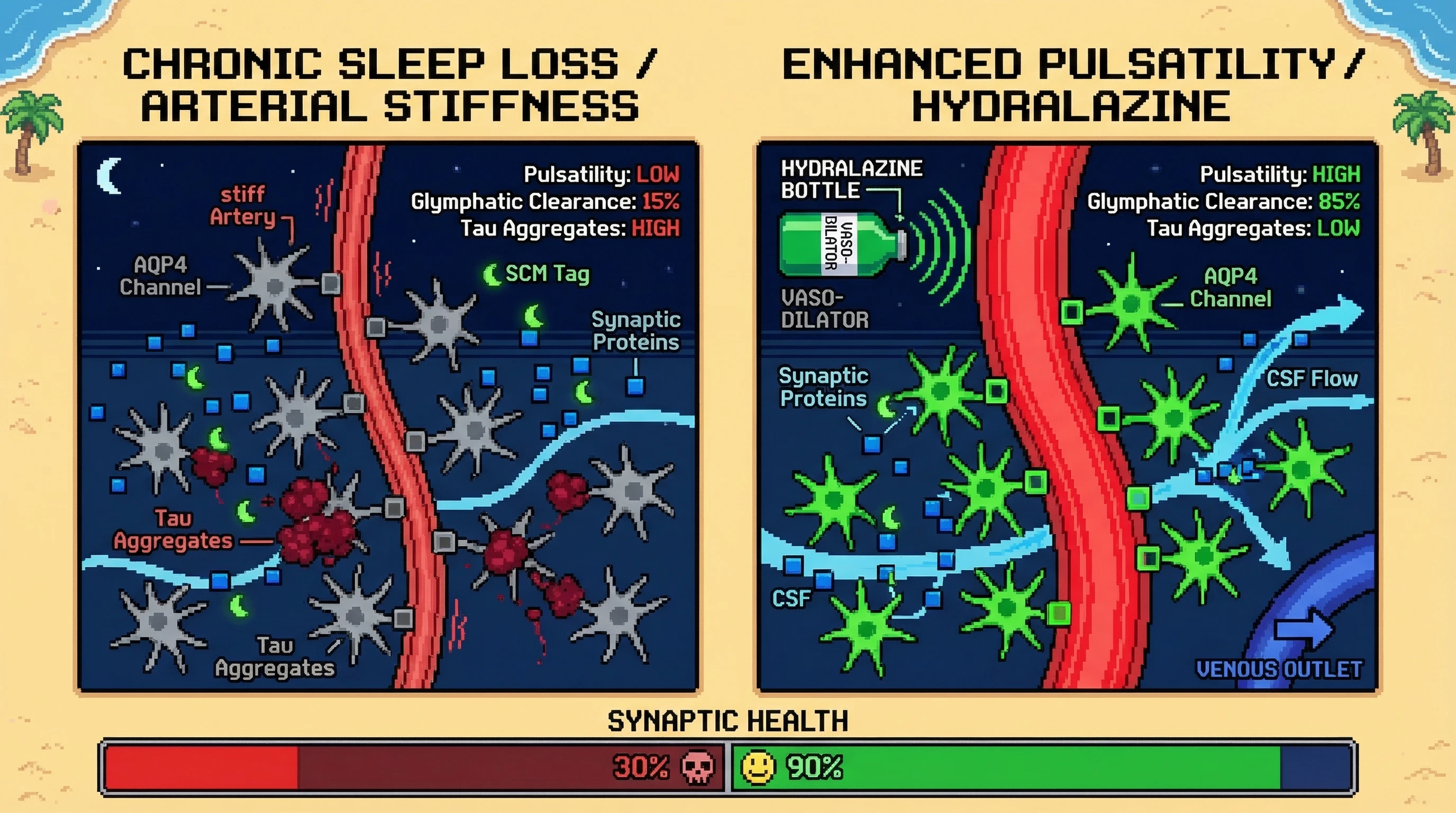 Infographic for: Sleep-Dependent Glymphatic Triage Tags Synaptic Proteins for Removal Via Arterial Pulse-Driven CSF Flow
