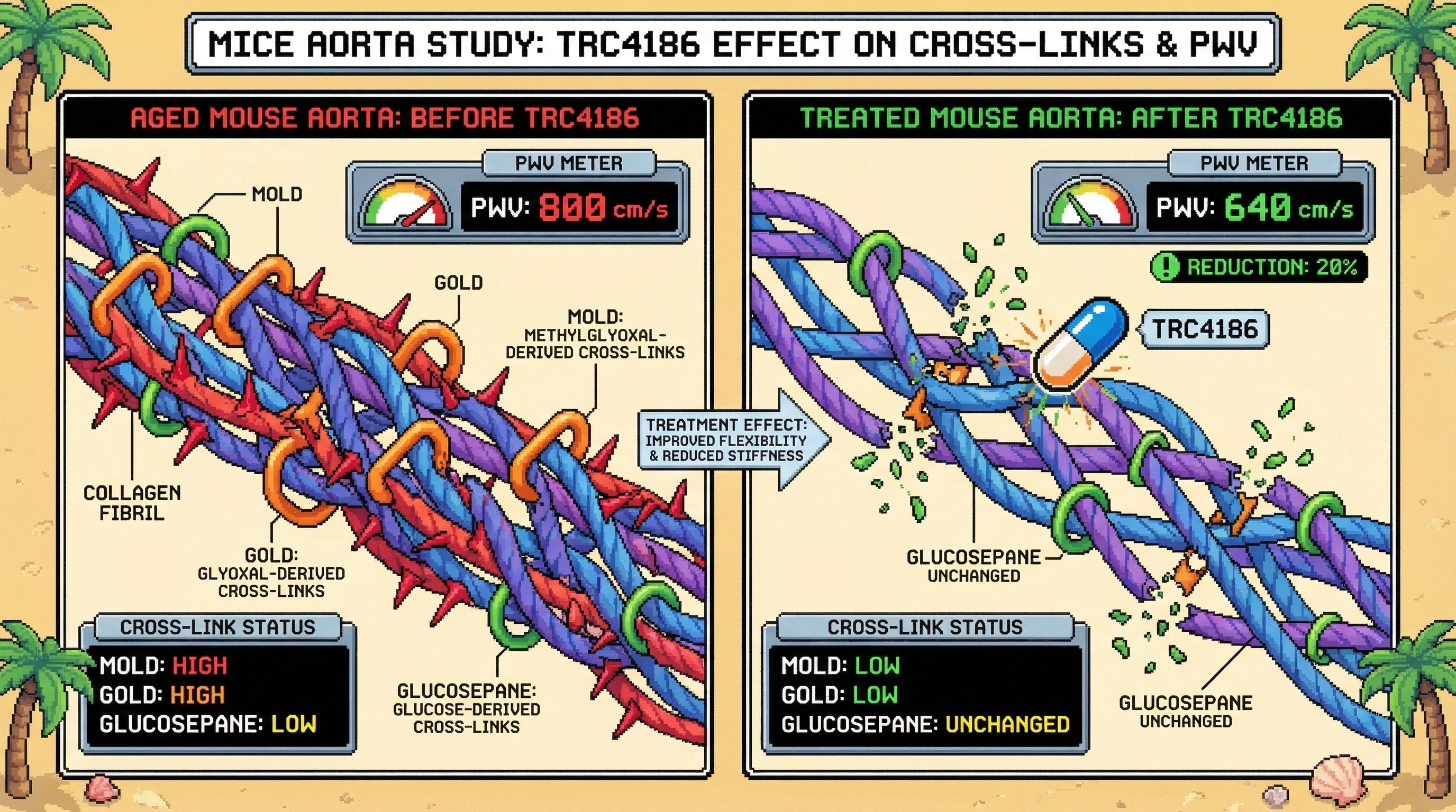 Mechanism: TRC4186 selectively cleaves methylglyoxal-derived (MOLD/GOLD) crosslinks in aged mouse aortic collagen, reducing structural stiffness. Readout: Readout: Aortic Pulse Wave Velocity (PWV) decreases by 15-25%, with MOLD/GOLD crosslinks reduced and glucosepane crosslinks unchanged.
