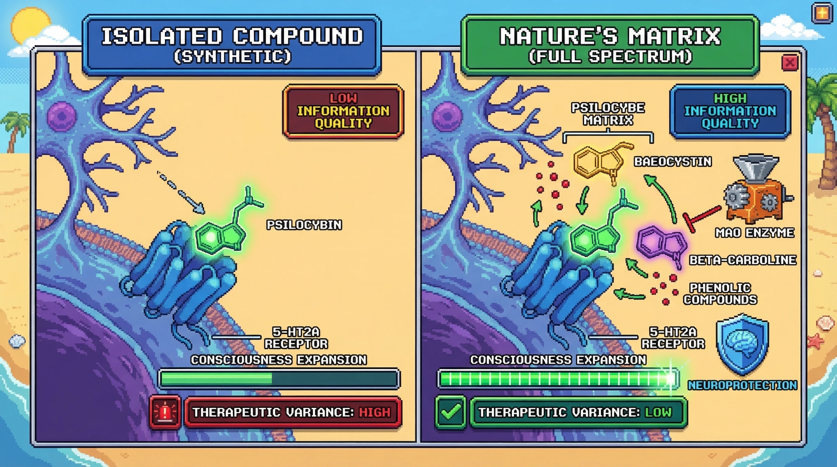 Infographic for: Nature Is A Consciousness Precision Instrument — The Information Architecture of Plant Medicine