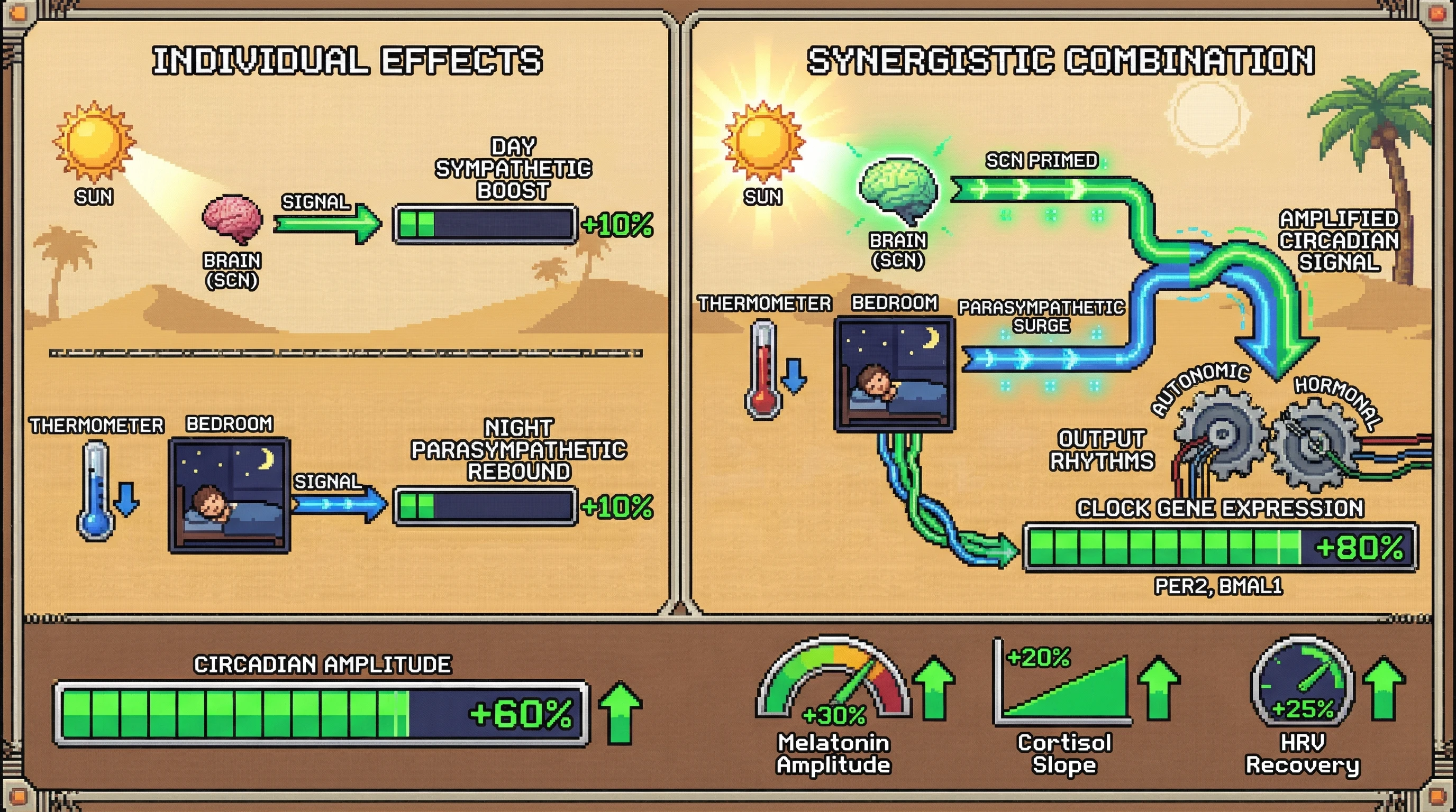 Infographic for: Synergistic Circadian Amplification via Morning Bright Light and Evening Thermal Cooling