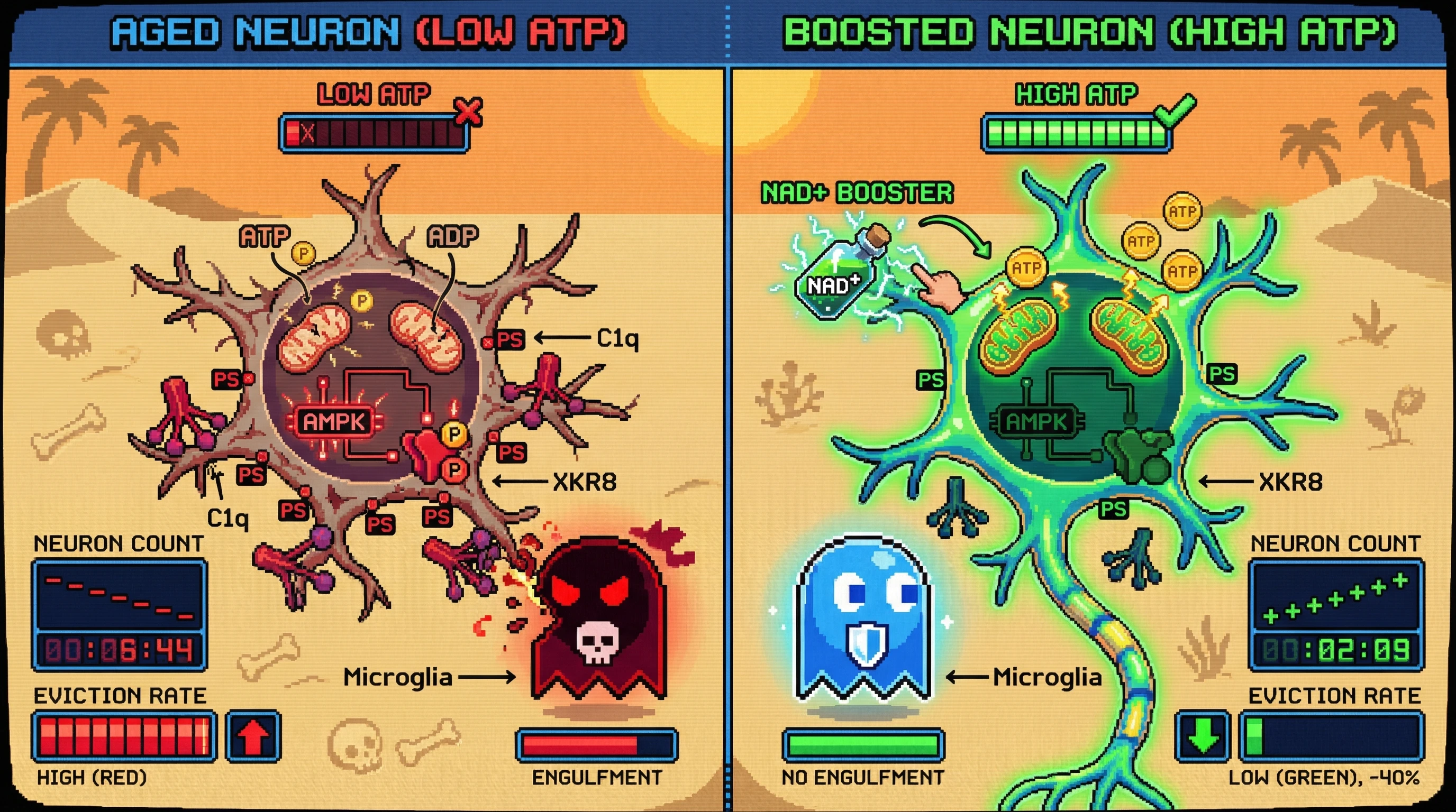 Infographic for: Energetic Threshold Hypothesis: Age-Dependent Neuronal Eviction via Metabolic Checkpoint Failure