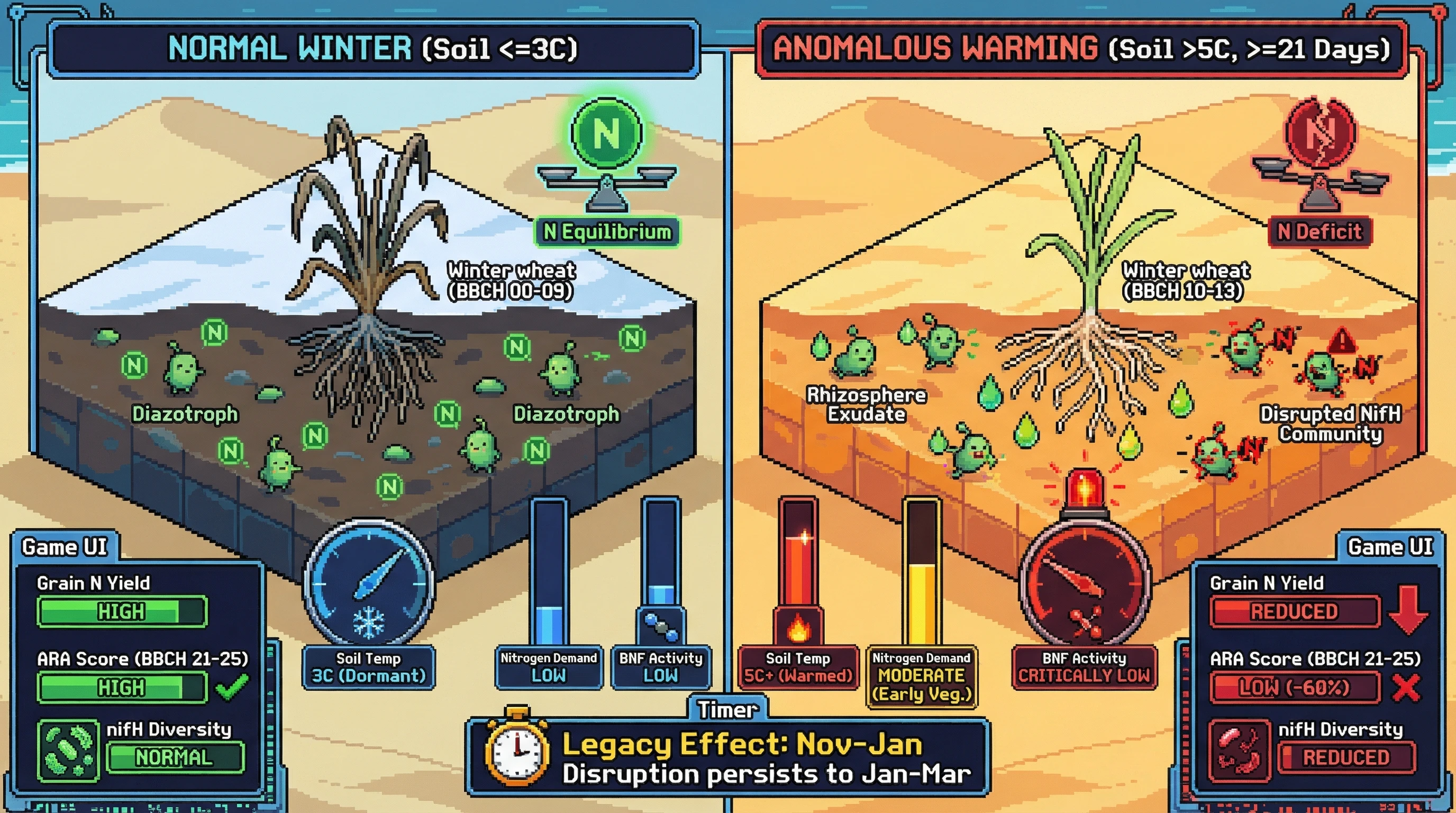 Infographic for: Anomalous Winter Soil Warming Disrupts Rhizosphere Diazotroph Functional Activity and Reduces Grain Protein Biosynthesis Efficiency in Belgian Atlantic Winter Wheat Systems