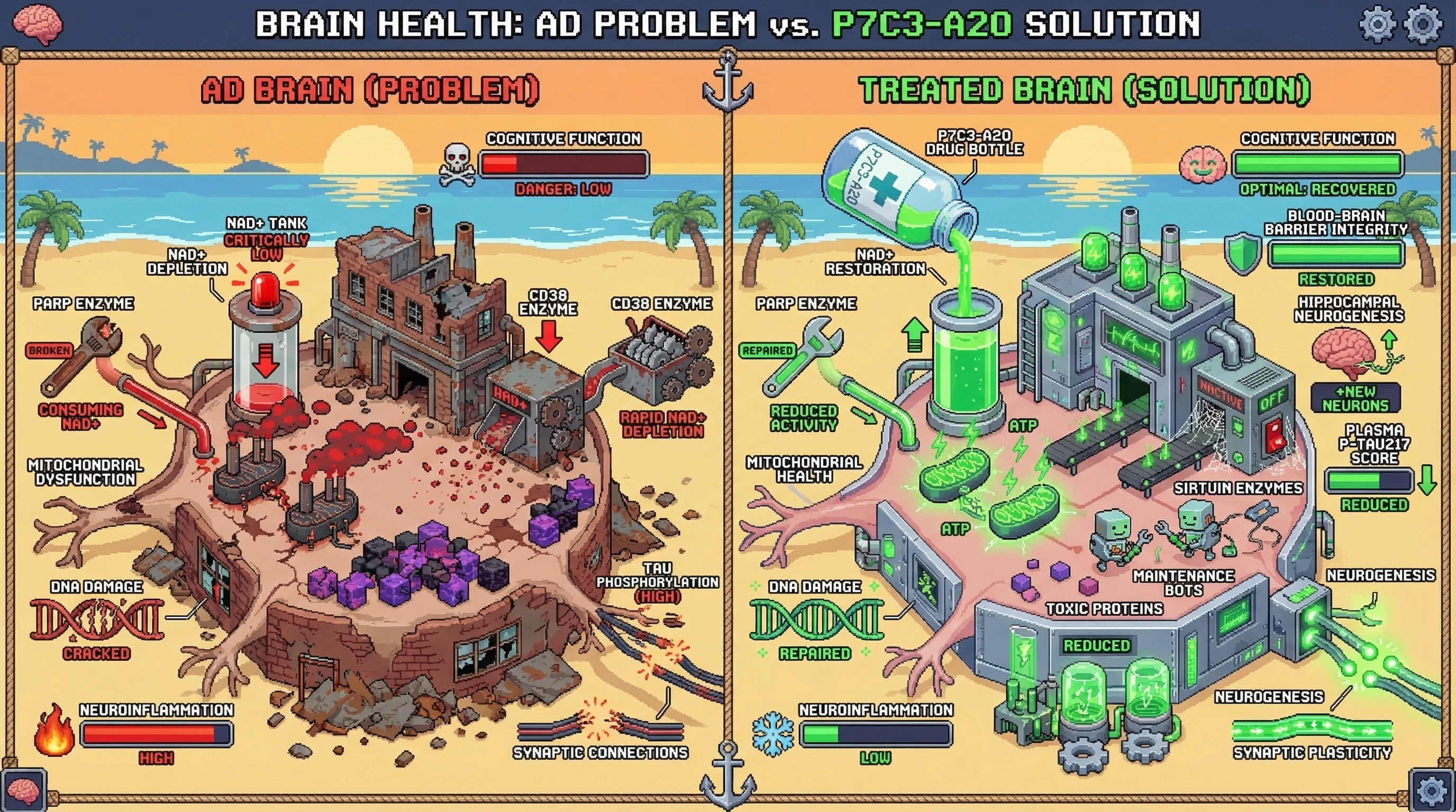Infographic for: NAD+ precursor therapy reverses cognitive decline by restoring neuronal energy metabolism.