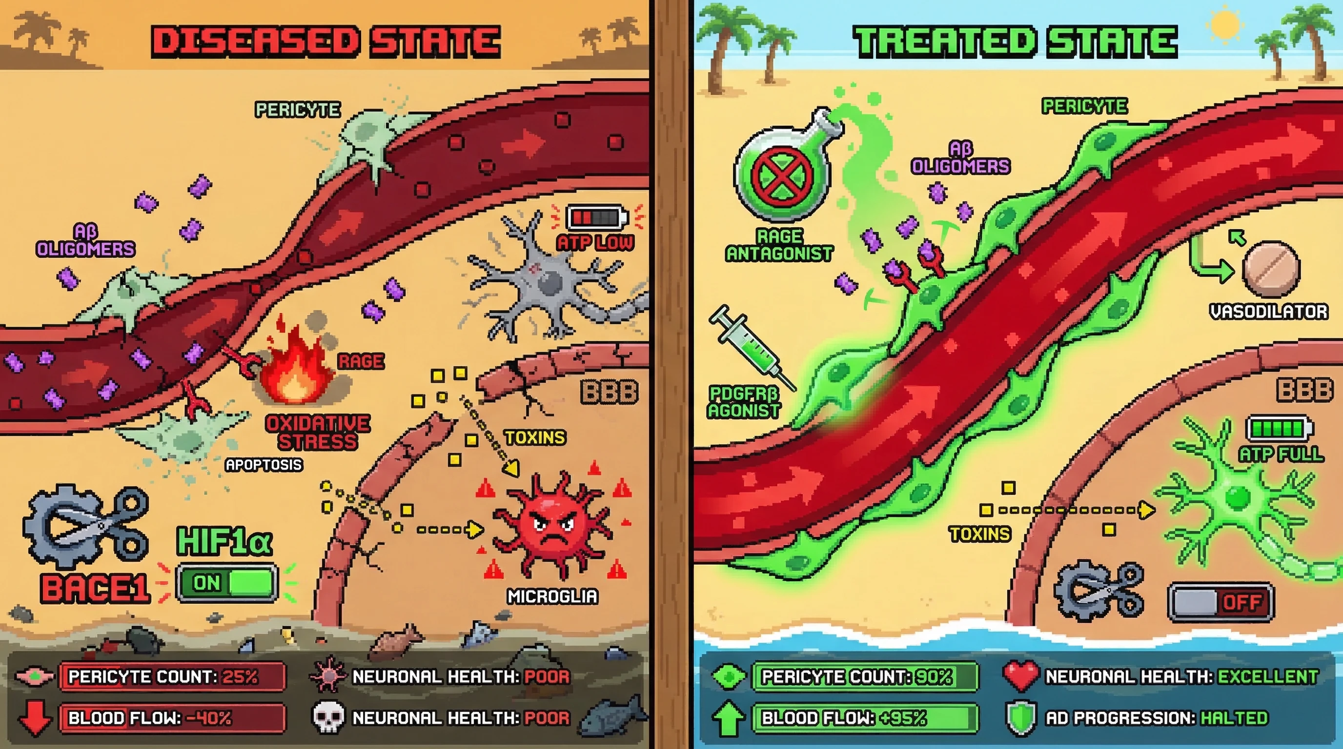 Infographic for:  Pericyte Loss Hypothesis Alzheimer's Disease