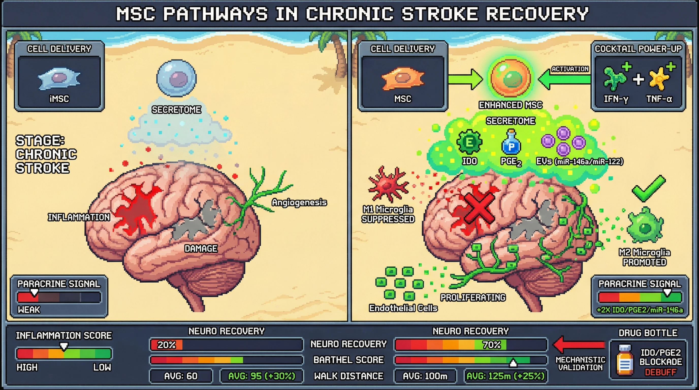 Mechanism: Priming MSCs with IFN-γ and TNF-α enhances their secretome, boosting key mediators like IDO and PGE2 to modulate inflammation and promote repair in stroke. Readout: Readout: Primed MSCs lead to a 30% greater Barthel score improvement and 25% increased walk distance, with a strong paracrine signal and reduced inflammation.